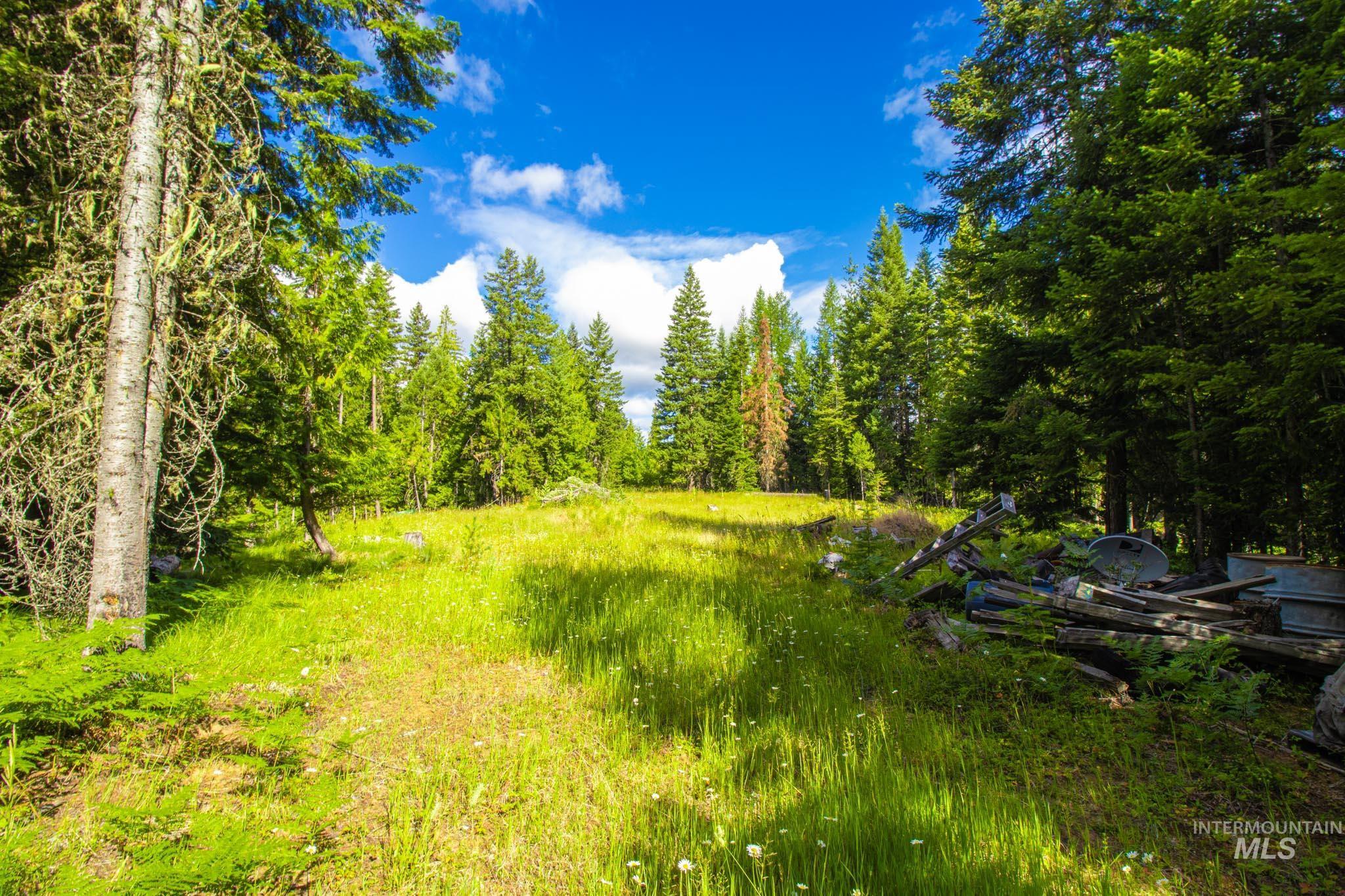 20888 Upper Fords Creek Rd Property Photo 21