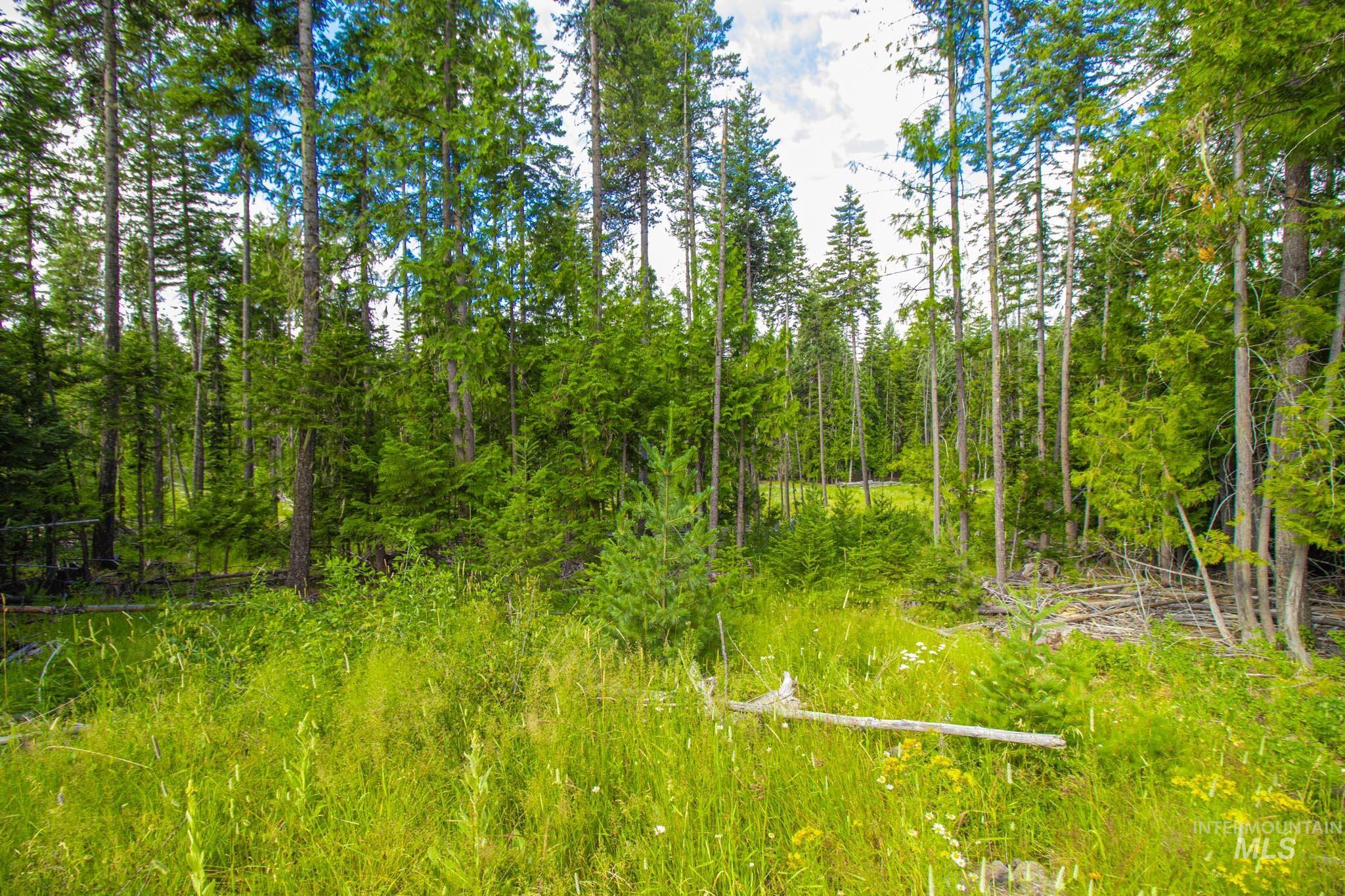 20888 Upper Fords Creek Rd Property Photo 22