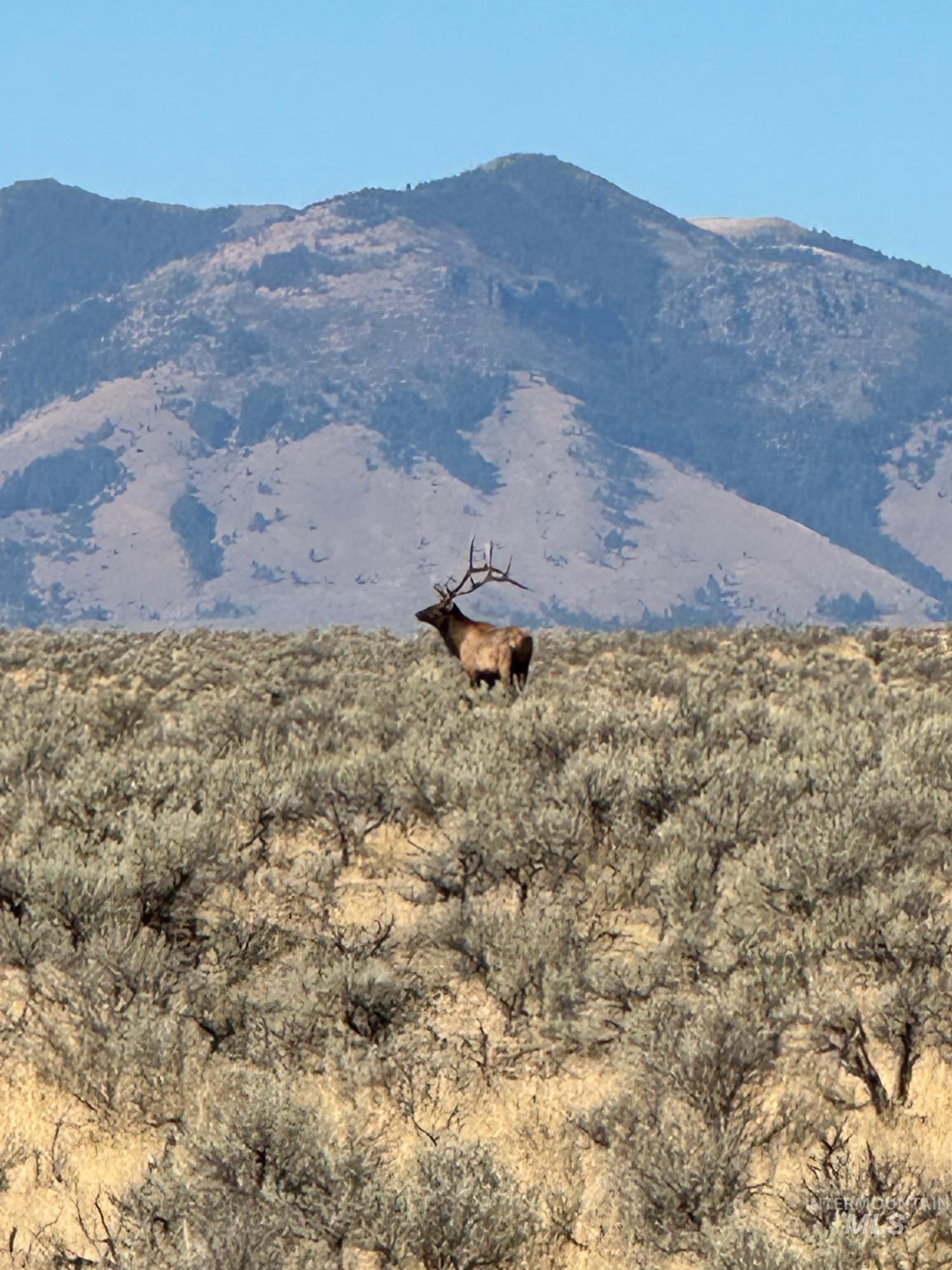 Tbd John Day Highway Property Photo 11
