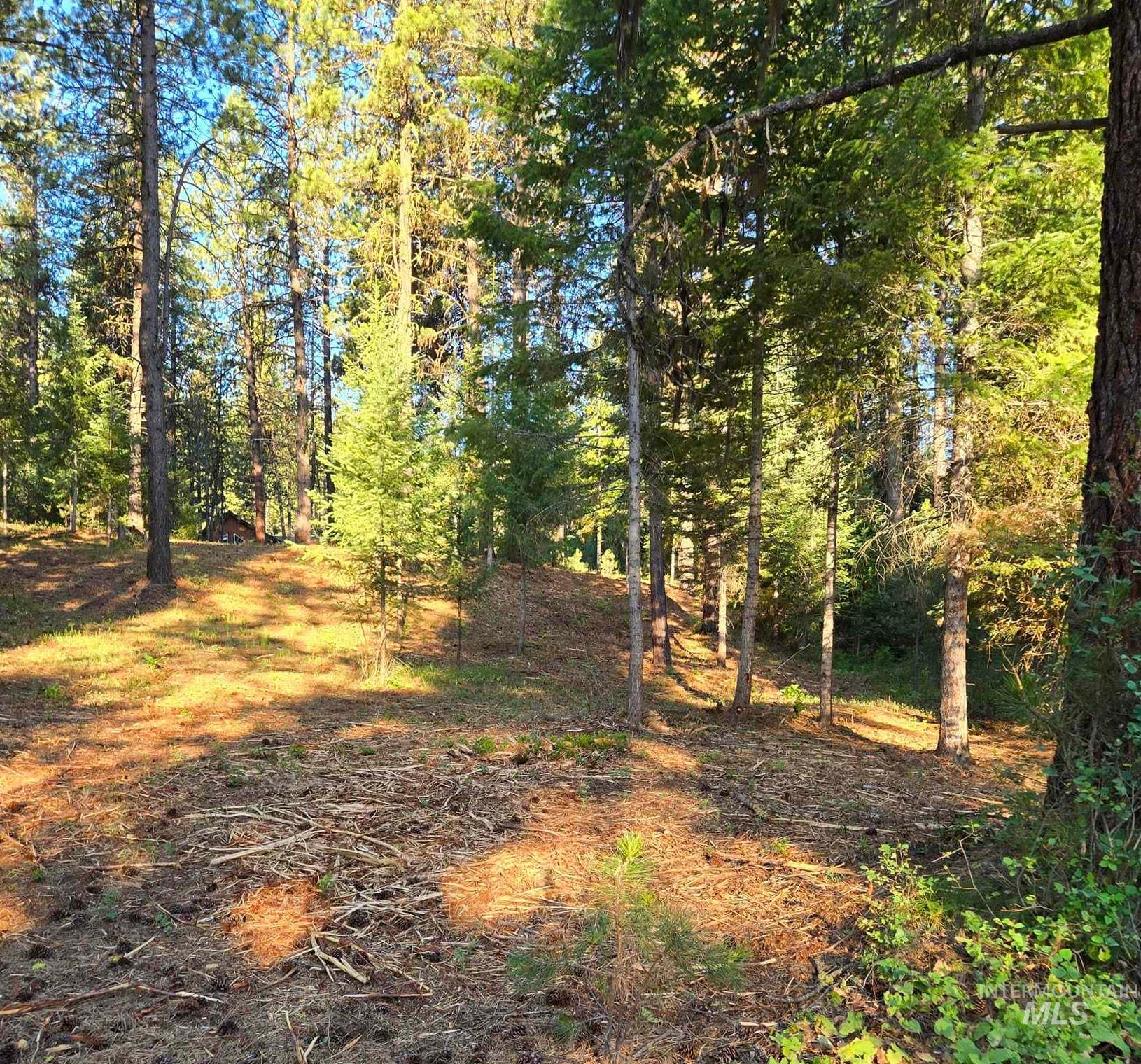 Tbd Sorrel Property Photo 2