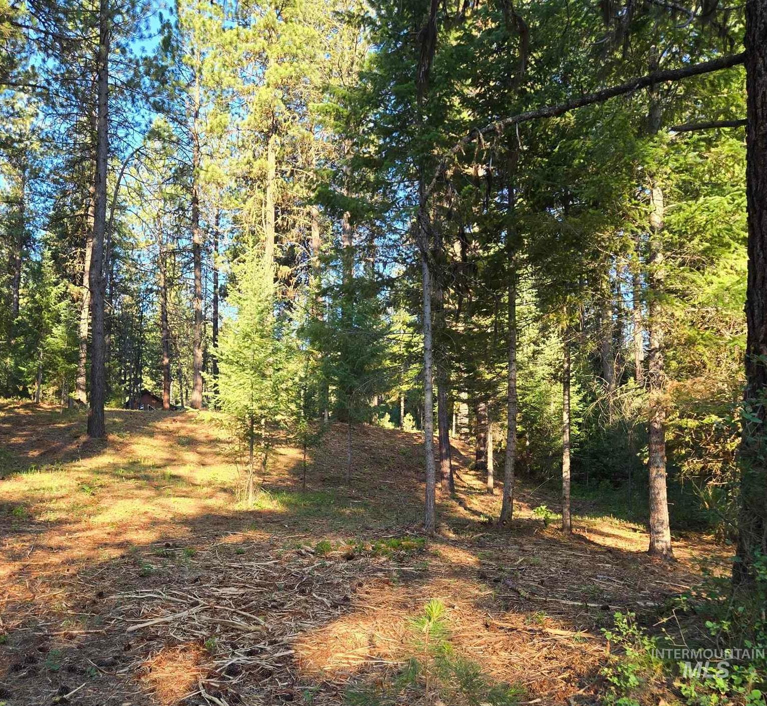 Tbd Sorrel Property Photo 3