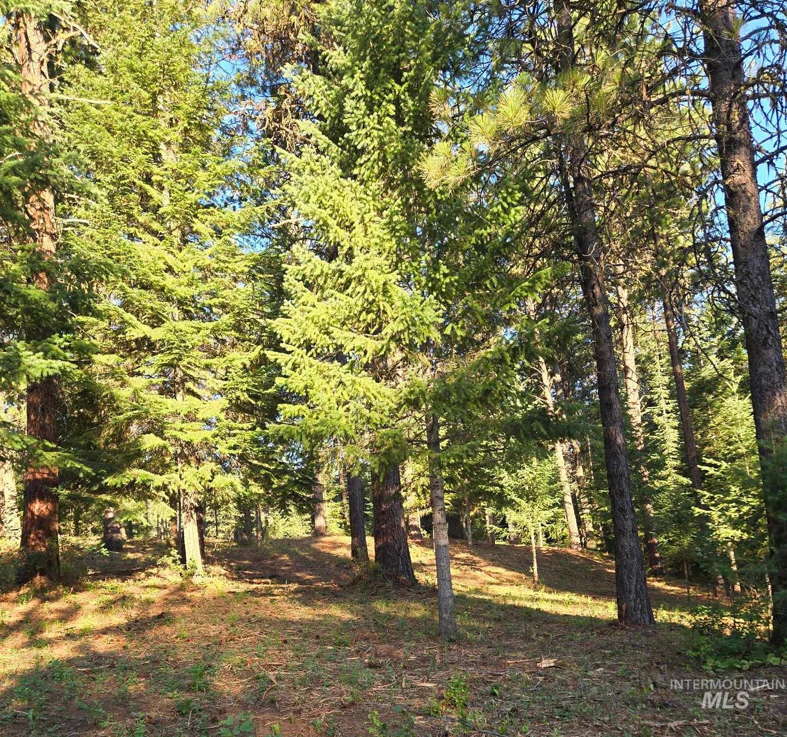 Tbd Sorrel Property Photo 4