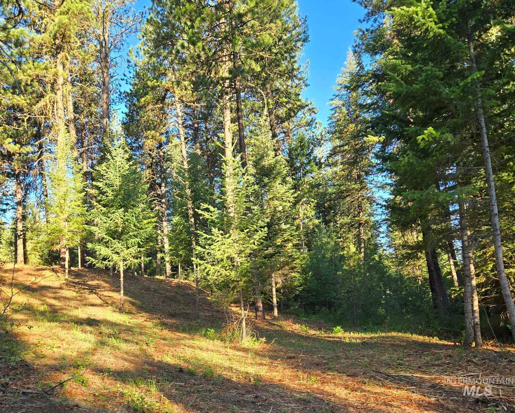 Tbd Sorrel Property Photo 5