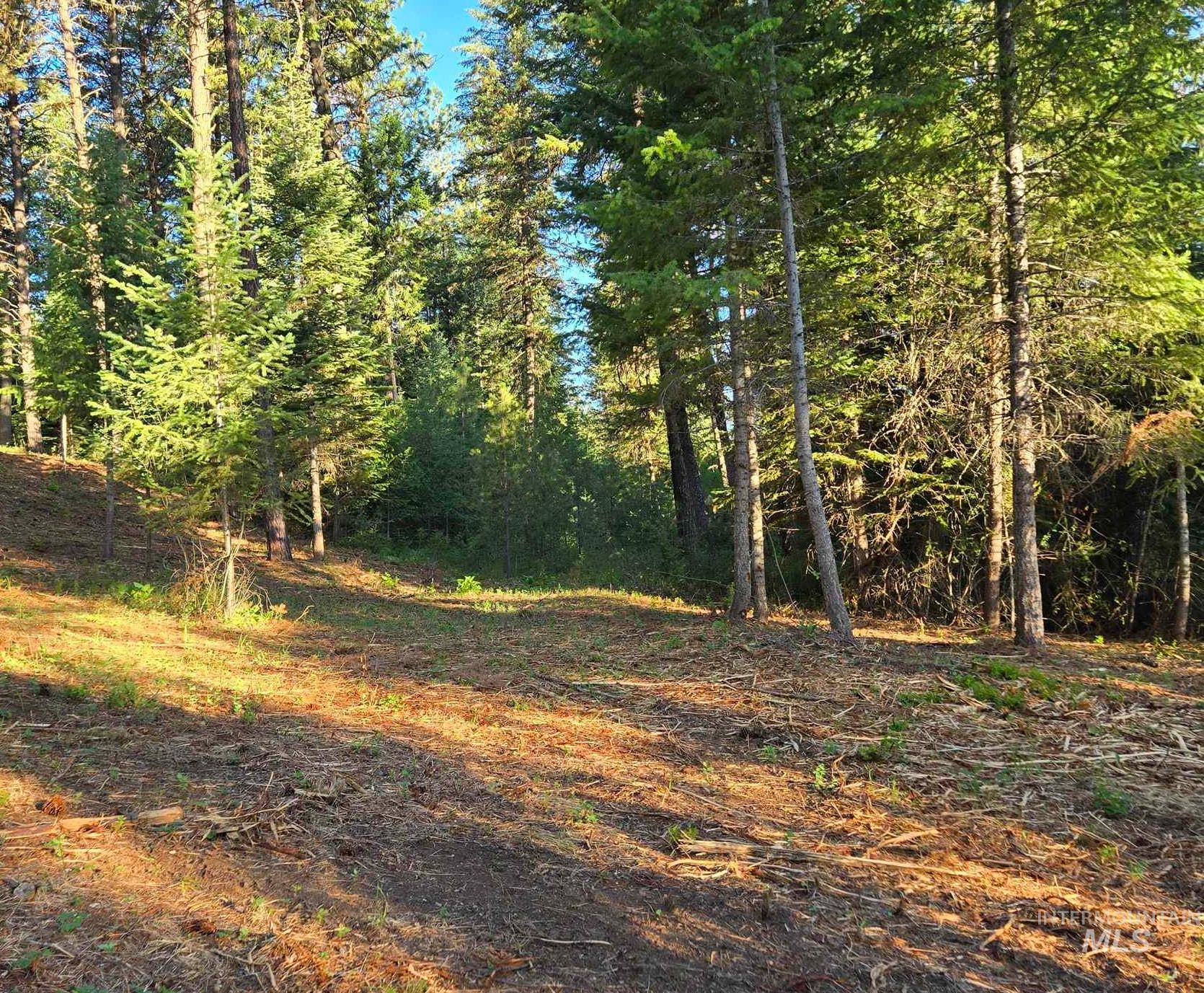 Tbd Sorrel Property Photo 6