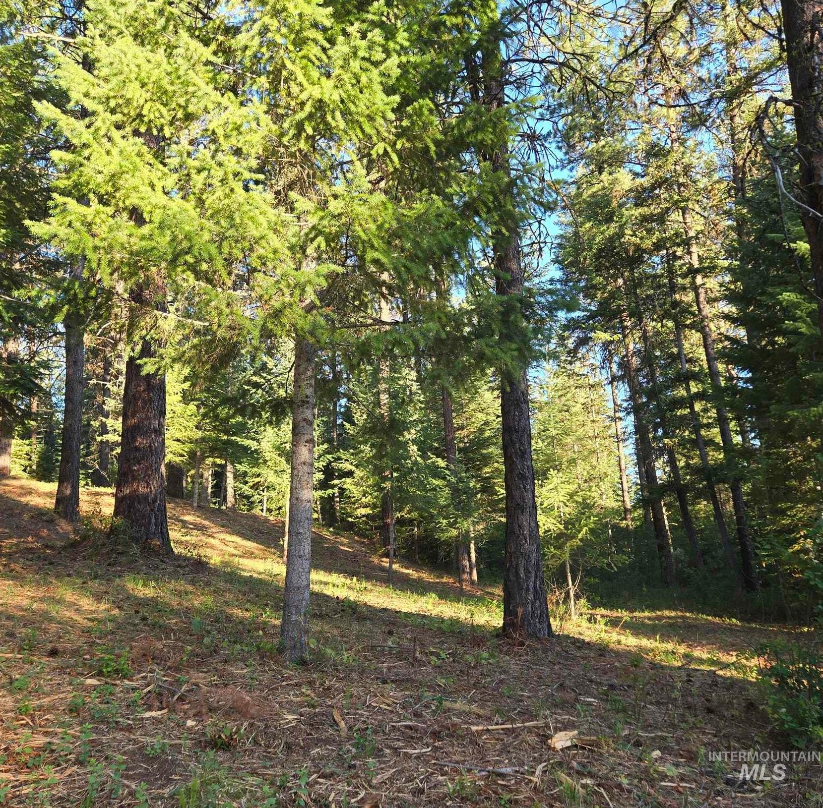 Tbd Sorrel Property Photo 7