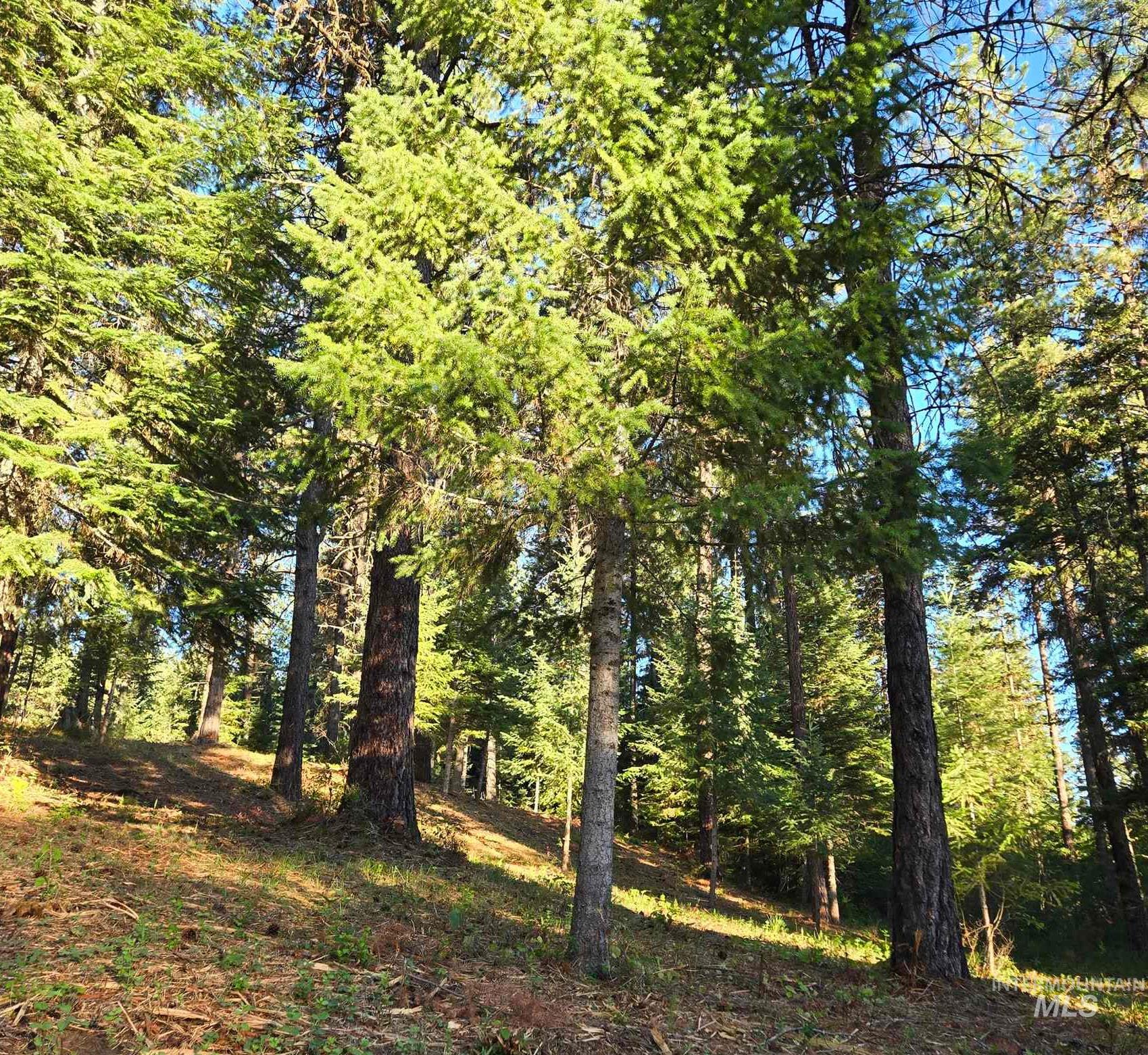Tbd Sorrel Property Photo 8