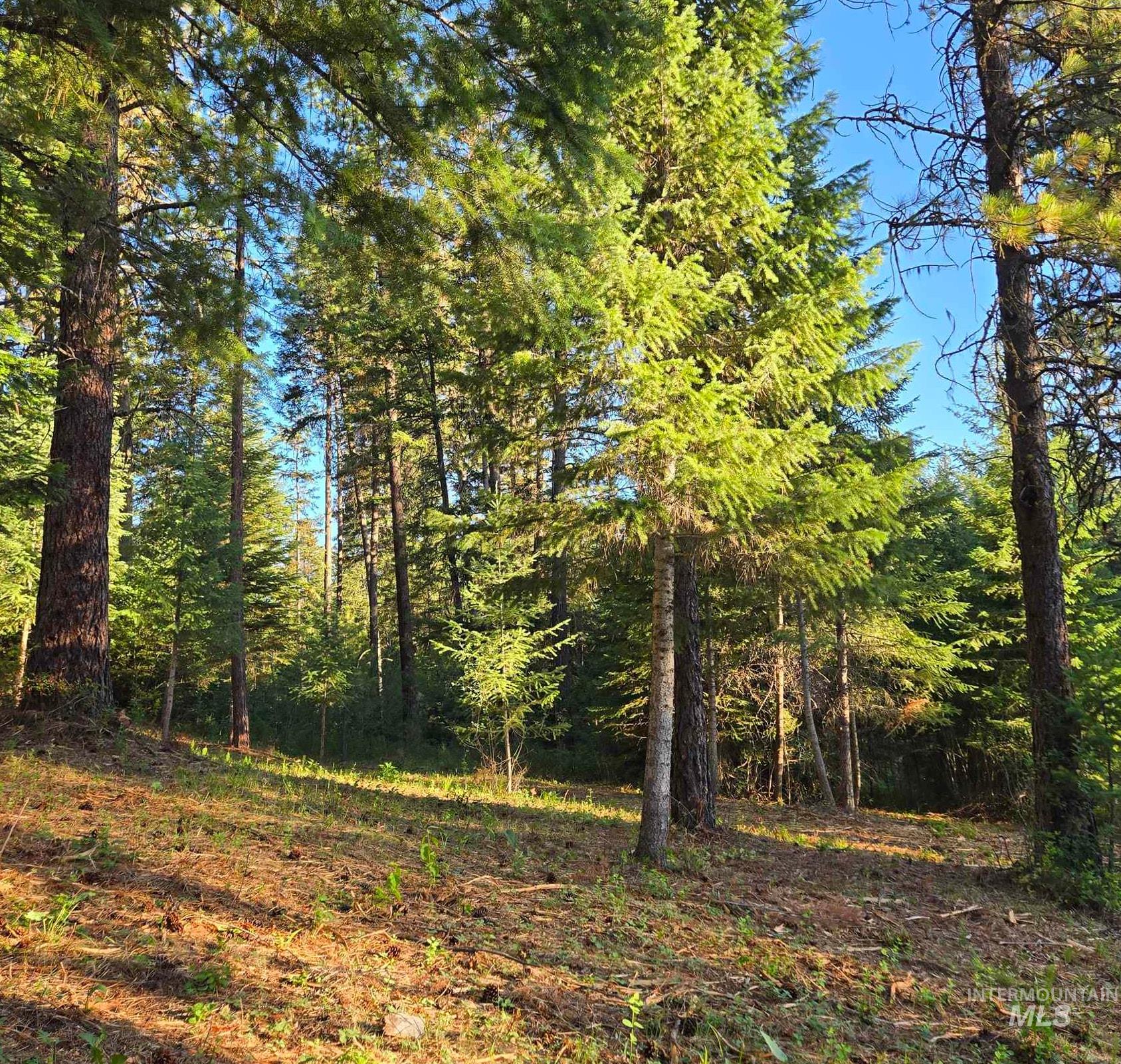 Tbd Sorrel Property Photo 9