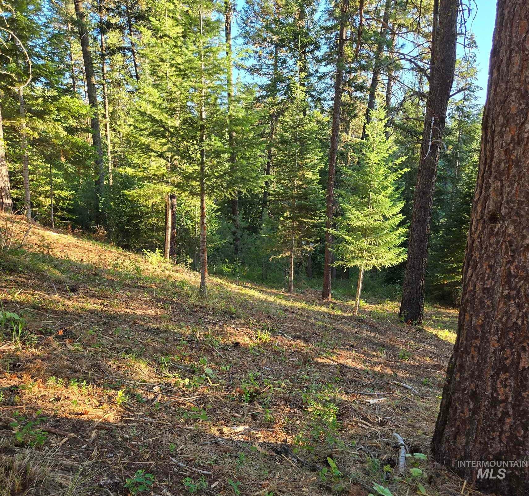 Tbd Sorrel Property Photo 10