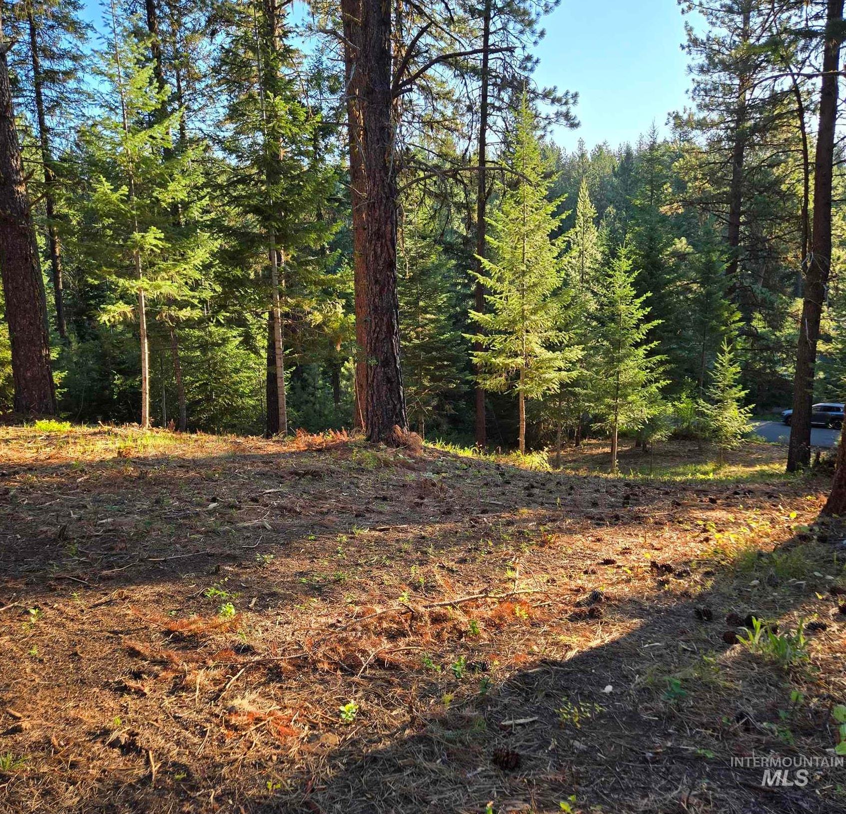 Tbd Sorrel Property Photo 11