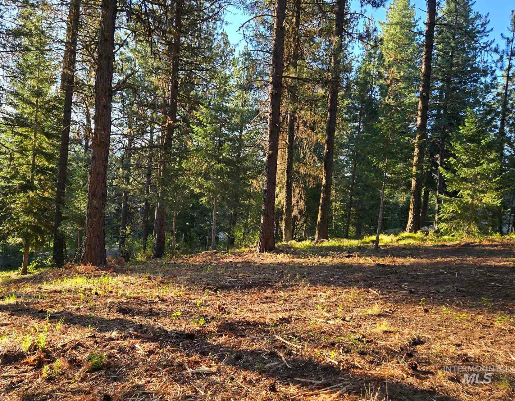 Tbd Sorrel Property Photo 12