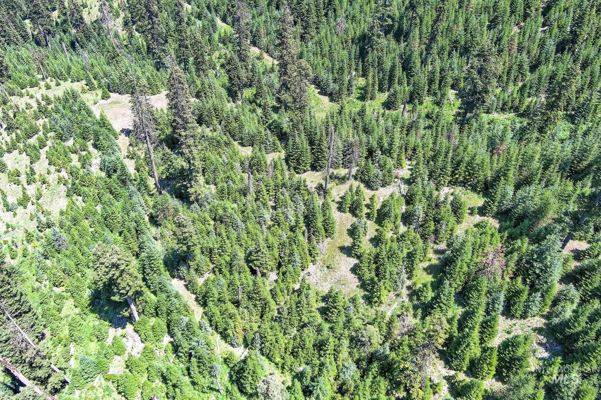 Tbd Parcel 1 Phase 3 Tree Farm Trails Property Photo 9
