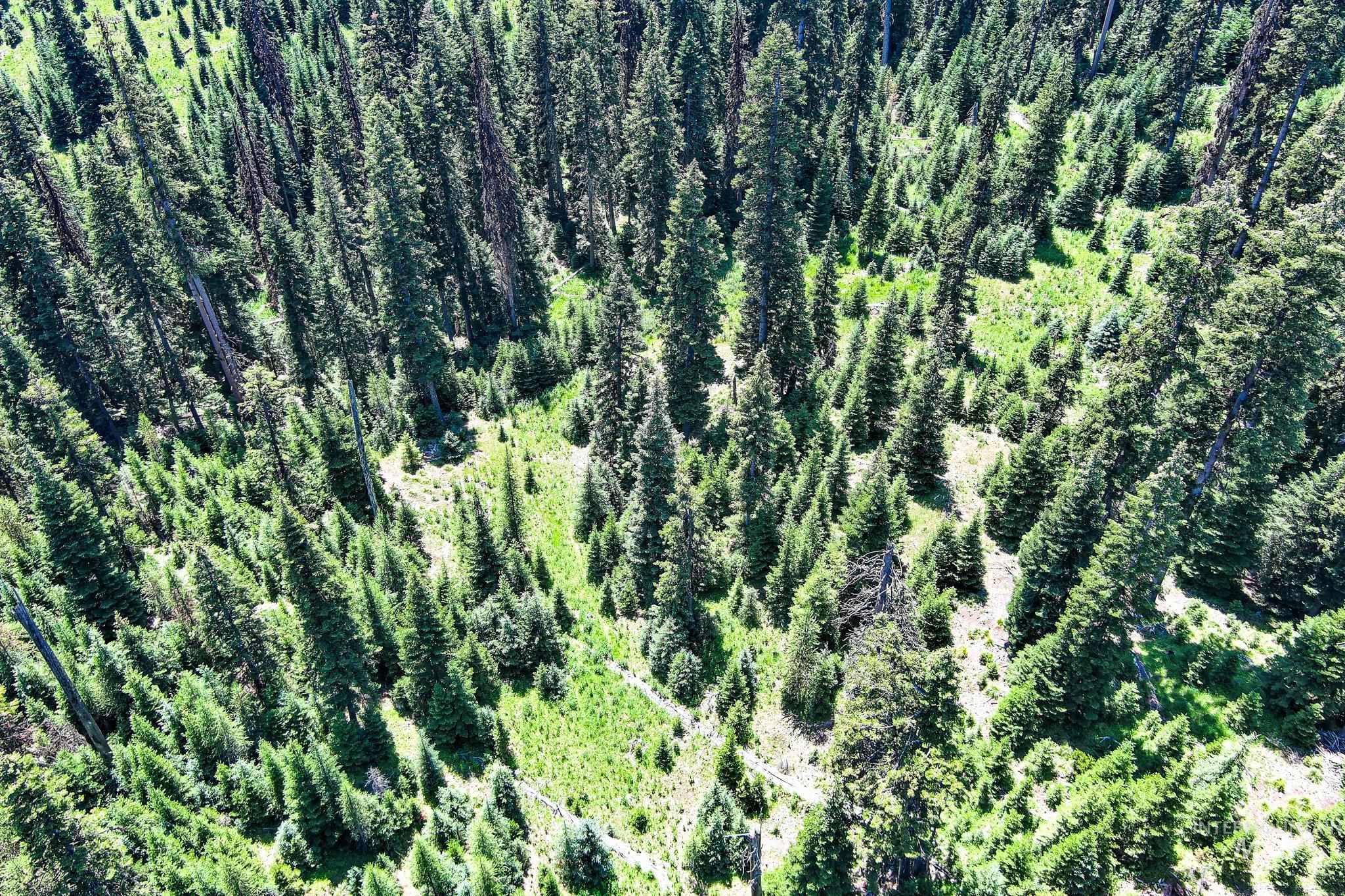 Tbd Parcel 2 Phase 3 Tree Farm Trails Property Photo 6