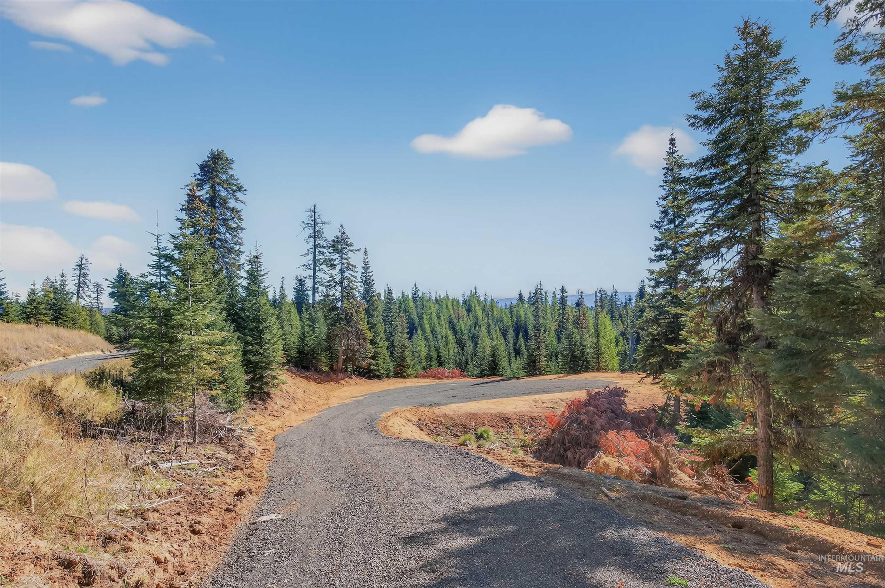 Tbd Parcel 2 Tree Farm Trails Road Property Photo 2