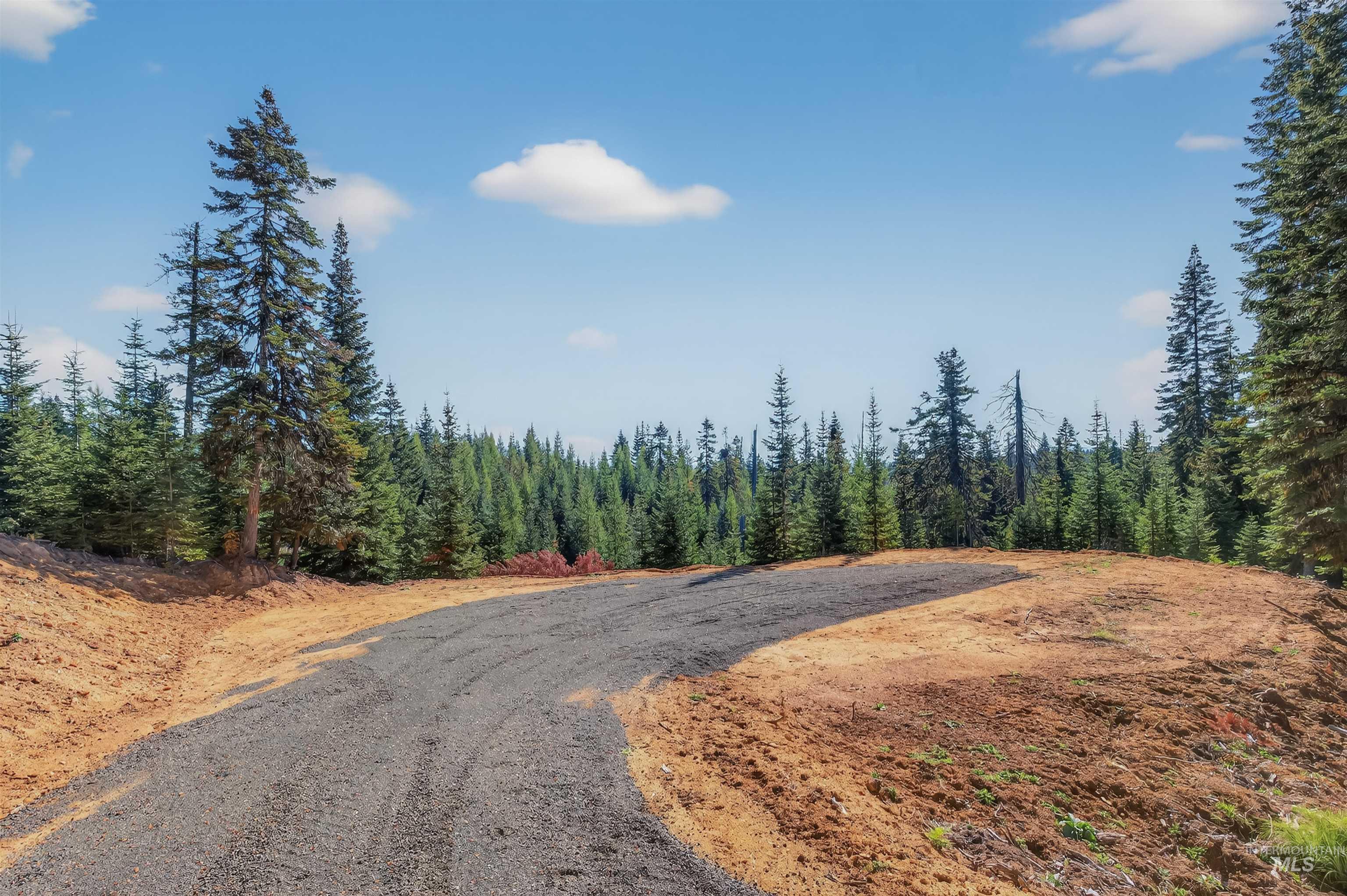Tbd Parcel 2 Tree Farm Trails Road Property Photo 6