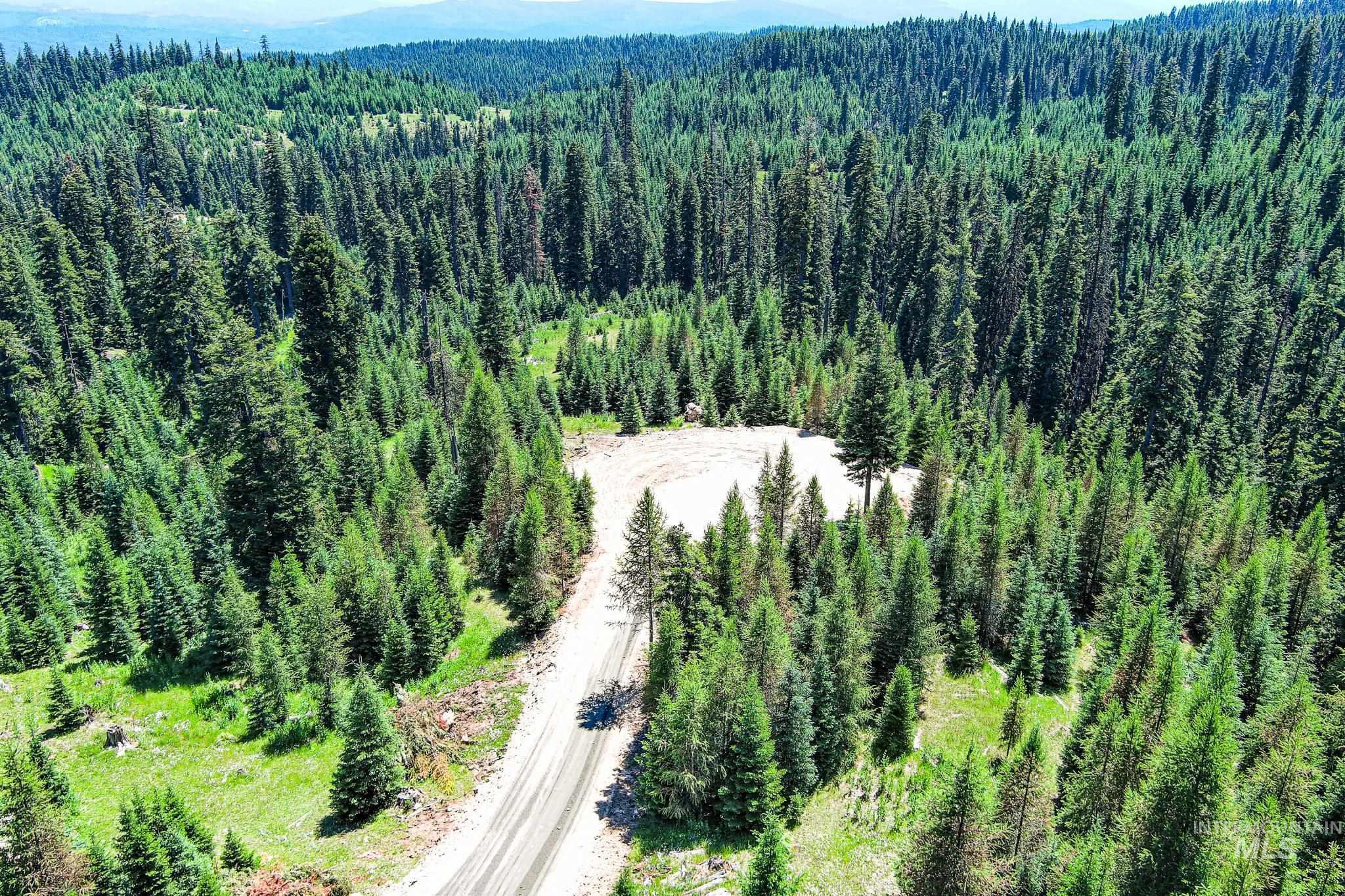 Tbd Parcel 3 Phase 3 Tree Farm Trails Property Photo 1