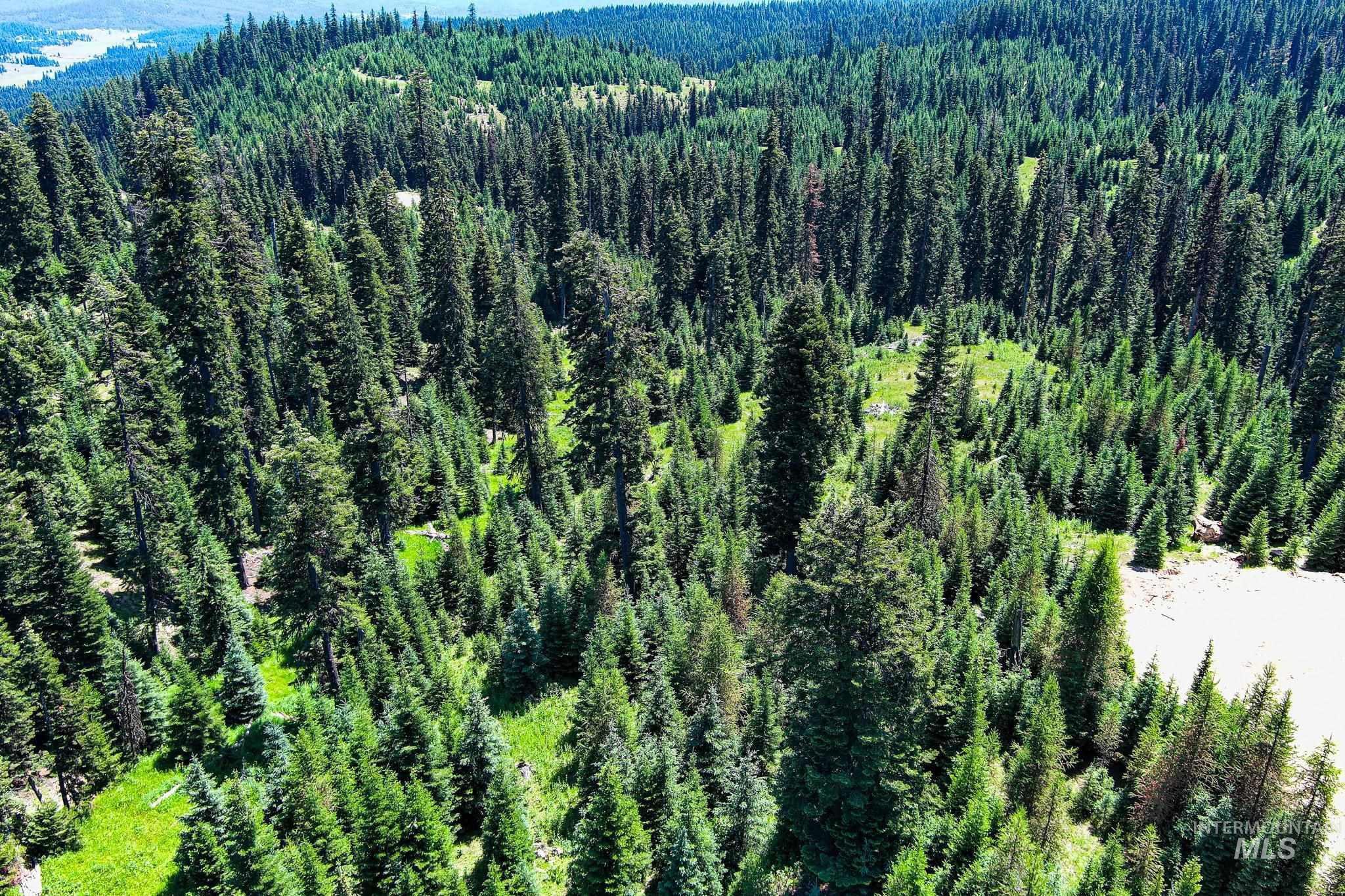 Tbd Parcel 3 Phase 3 Tree Farm Trails Property Photo 6
