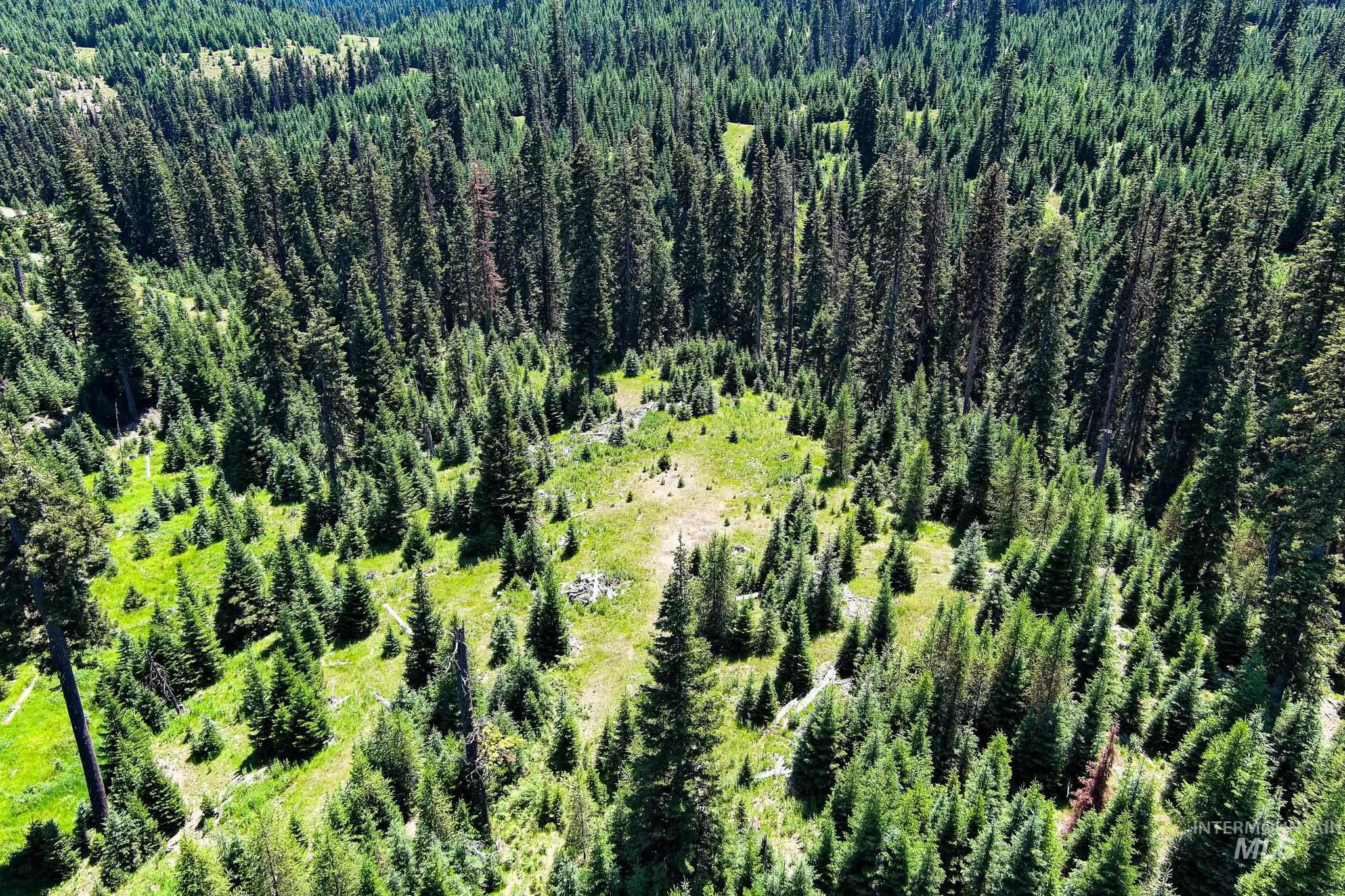 Tbd Parcel 3 Phase 3 Tree Farm Trails Property Photo 8