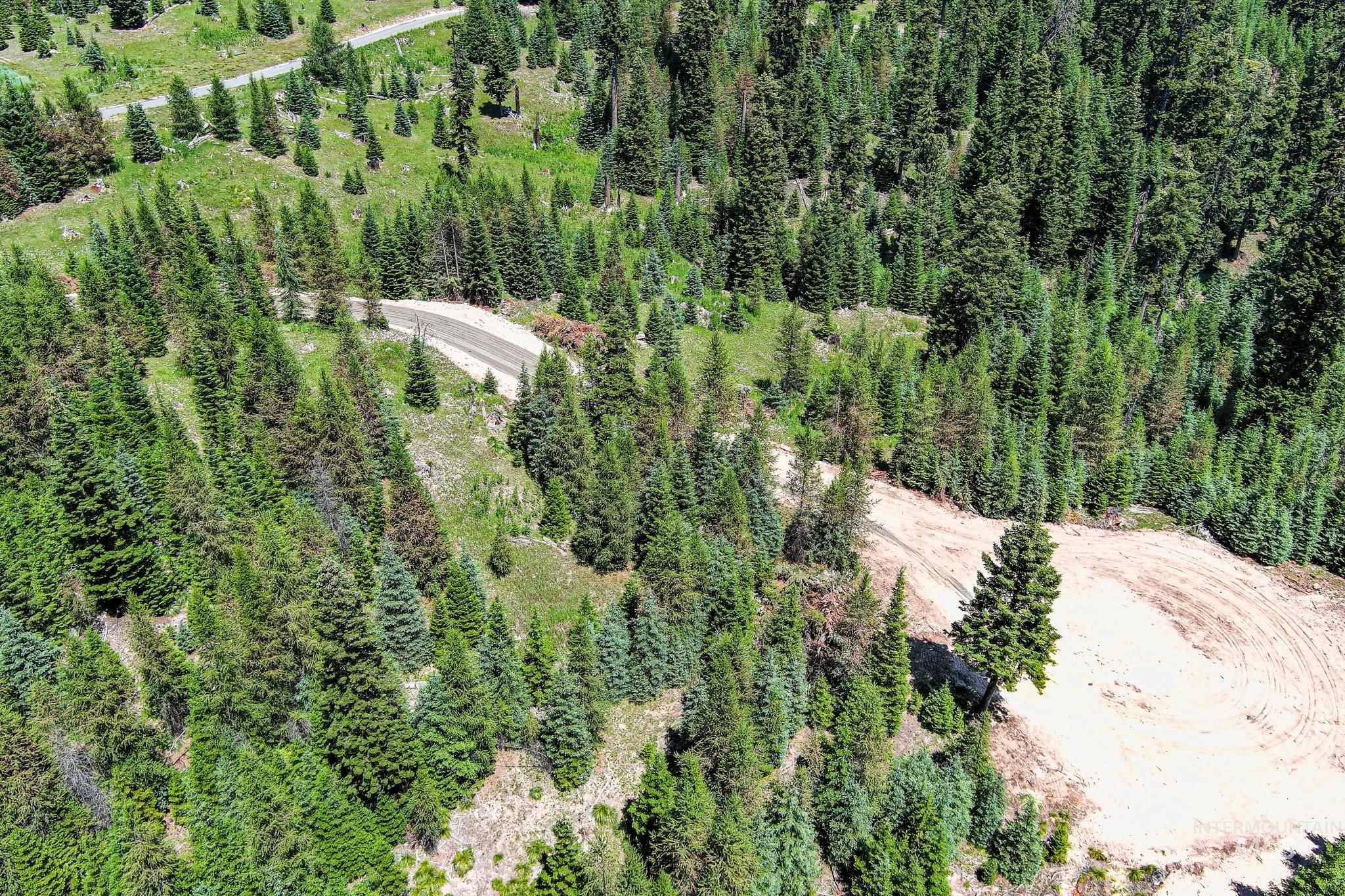Tbd Parcel 3 Phase 3 Tree Farm Trails Property Photo 10