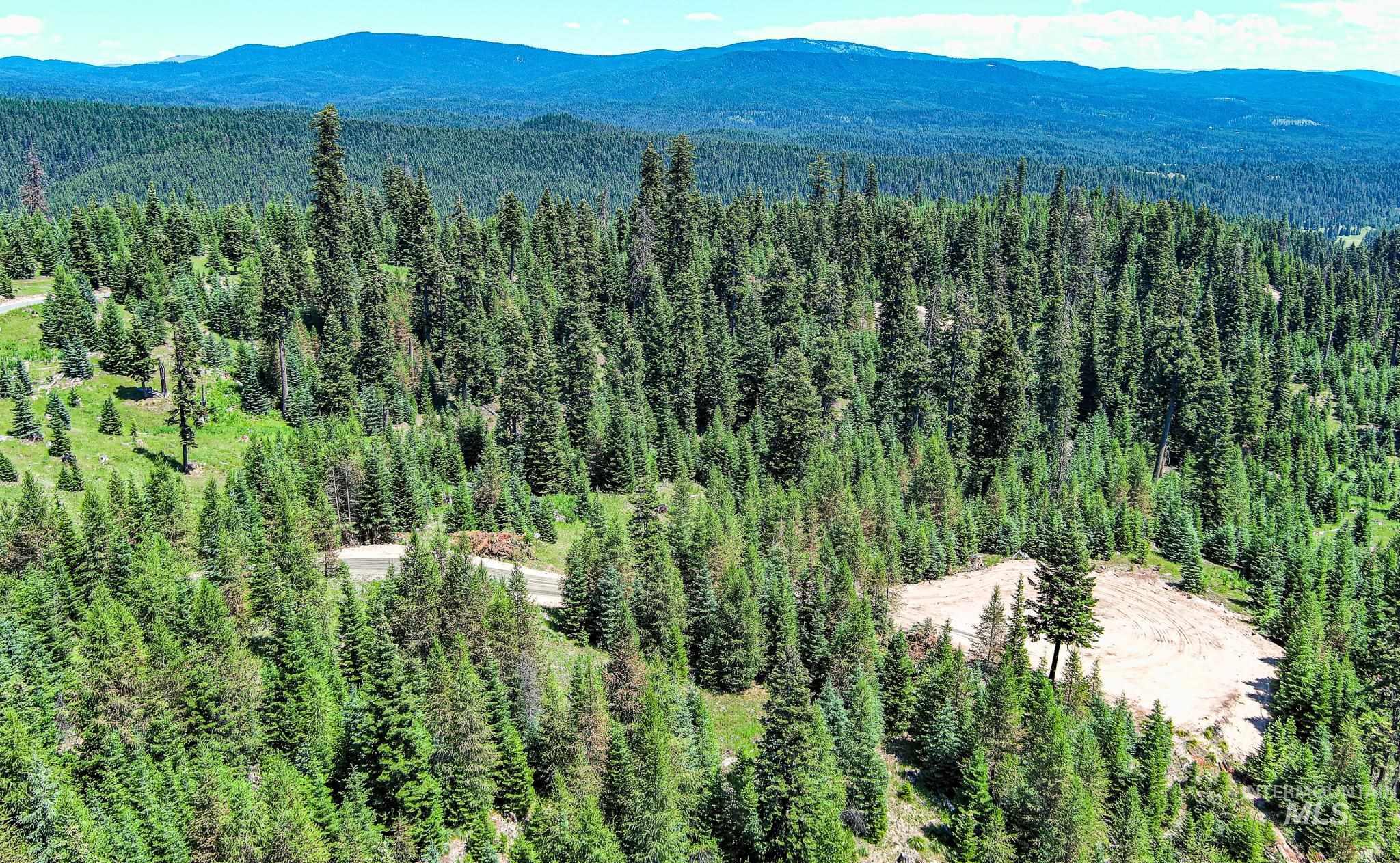 Tbd Parcel 3 Phase 3 Tree Farm Trails Property Photo 11