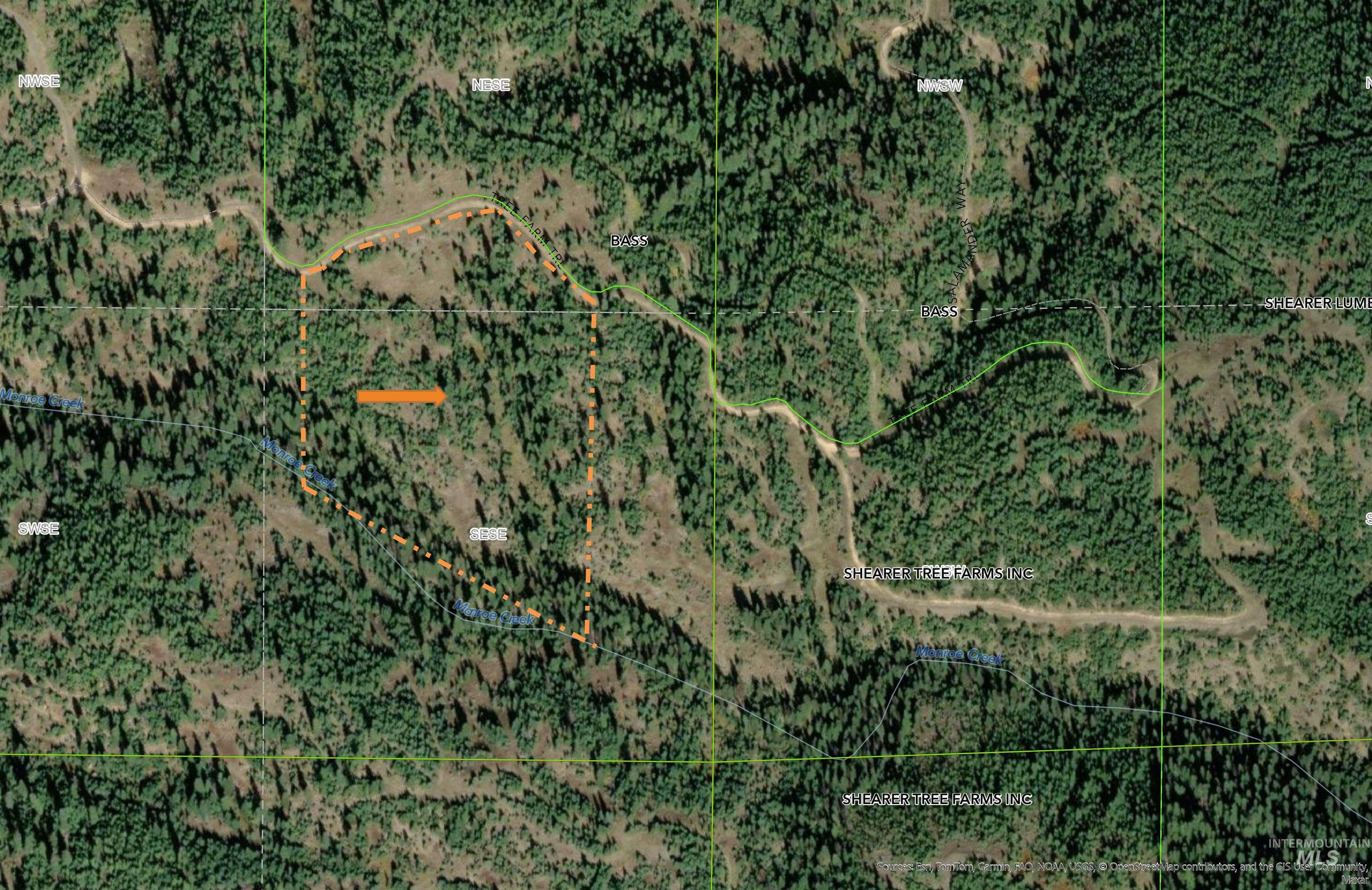 Tbd Parcel 3 Phase 3 Tree Farm Trails Property Photo 12