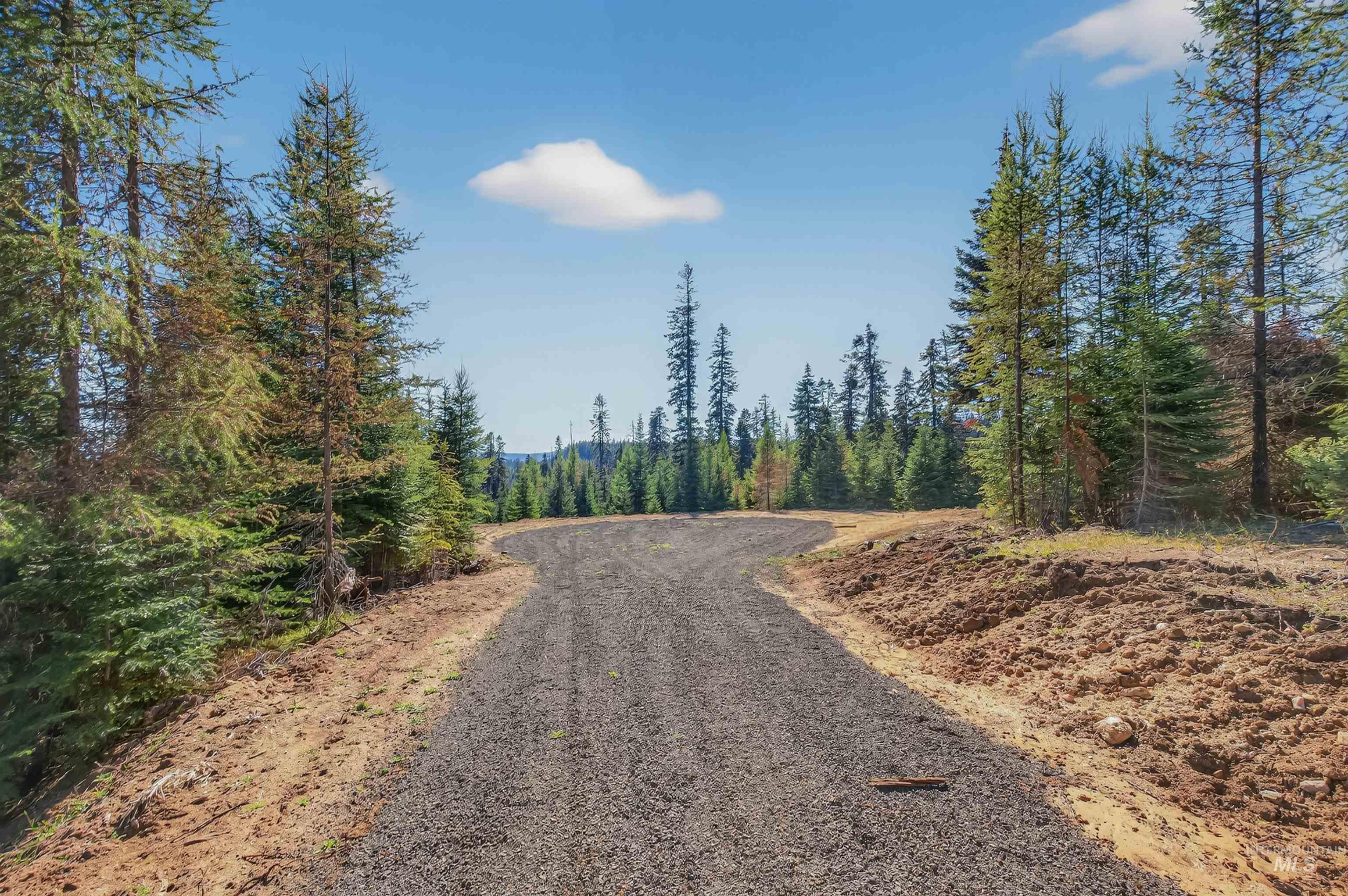 Tbd Parcel 3 Tree Farm Trails Road Property Photo 3