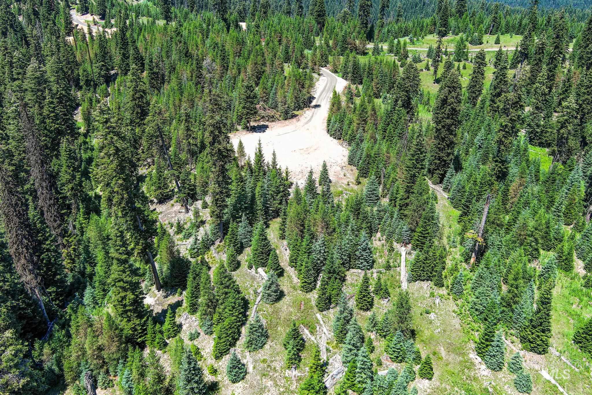 Tbd Parcel 3 Tree Farm Trails Road Property Photo 11