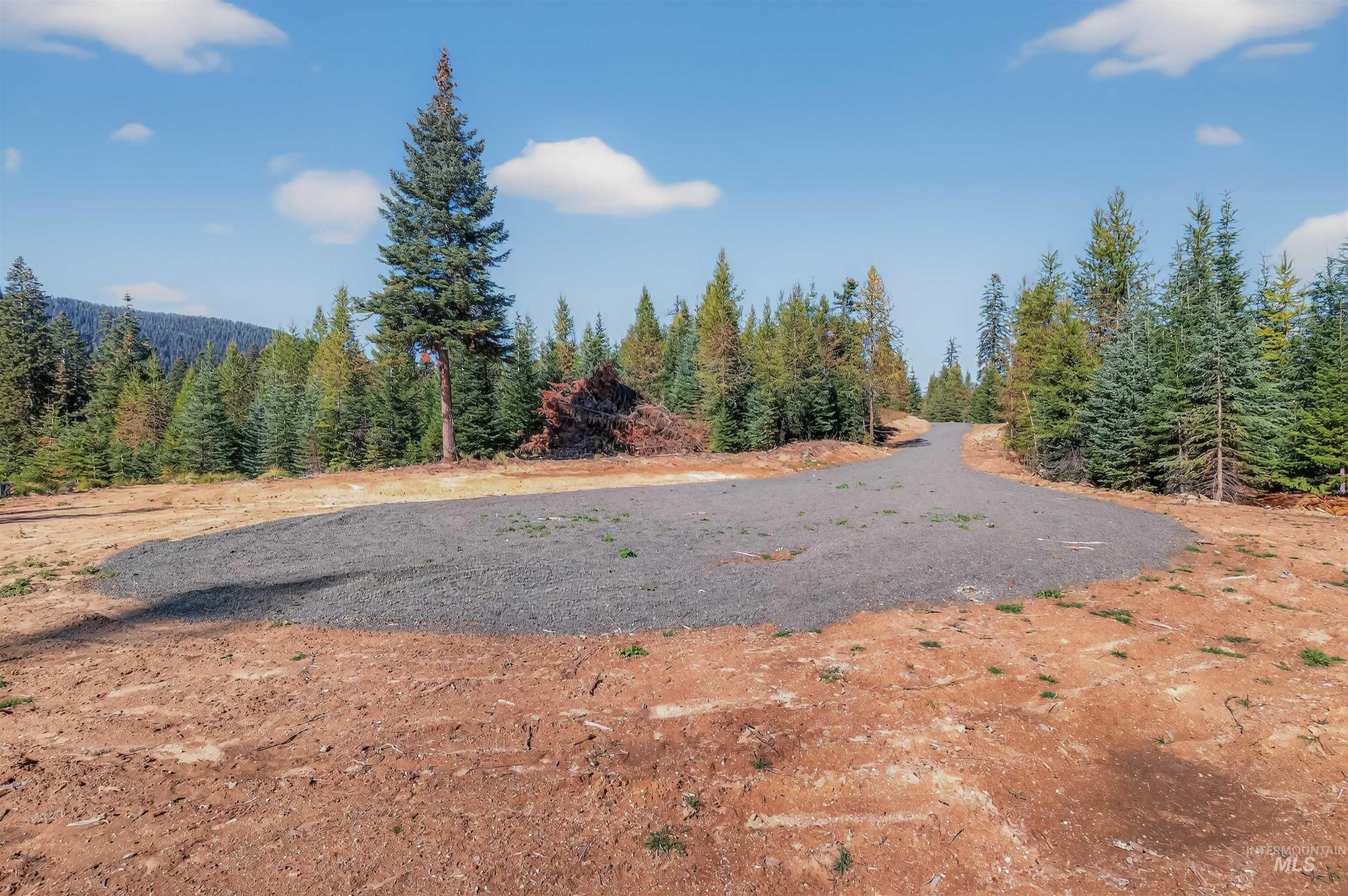 Tbd Parcel 3 Tree Farm Trails Road Property Photo 14