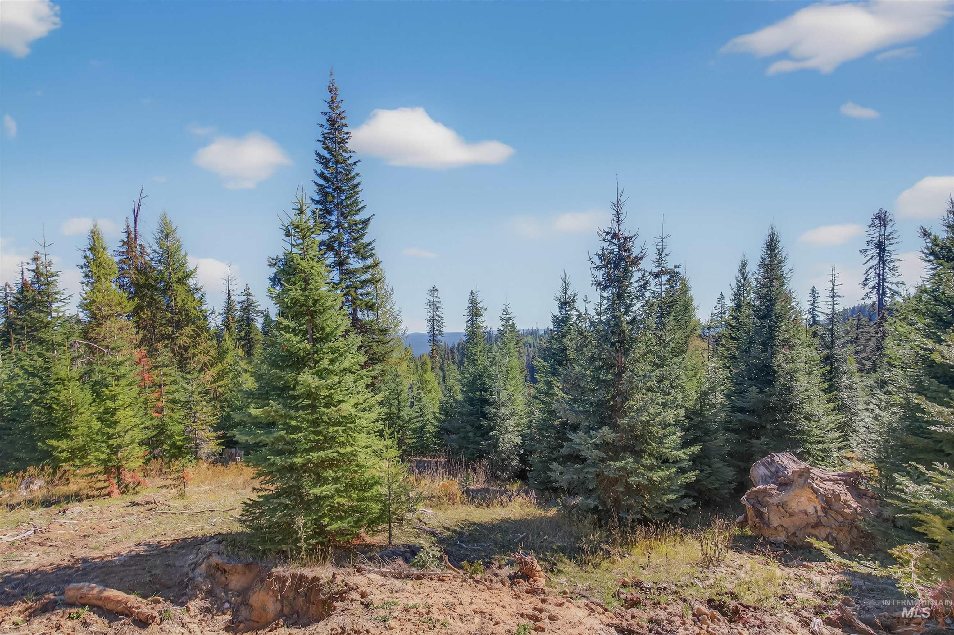 Tbd Parcel 3 Tree Farm Trails Road Property Photo 15