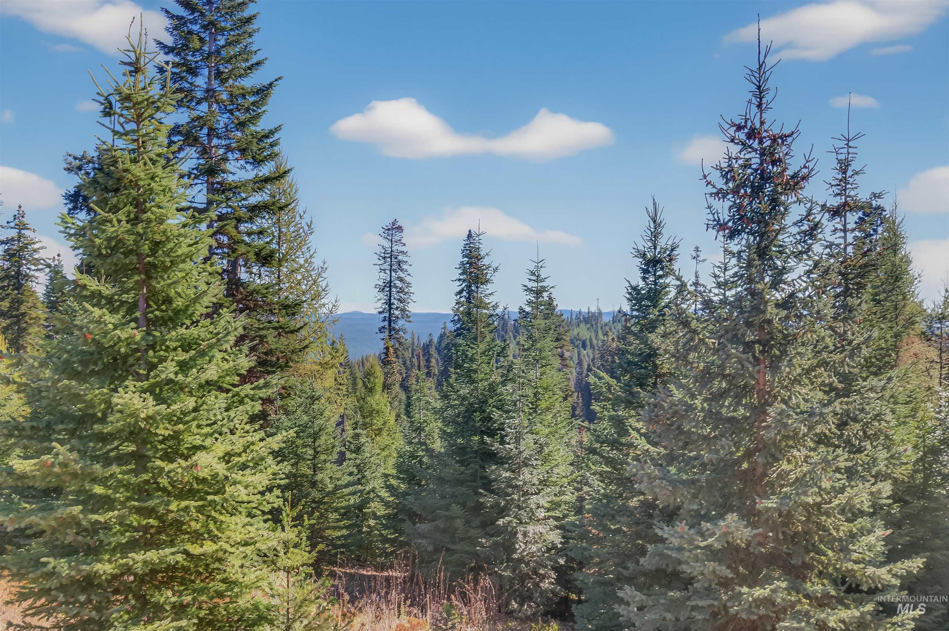 Tbd Parcel 3 Tree Farm Trails Road Property Photo 16