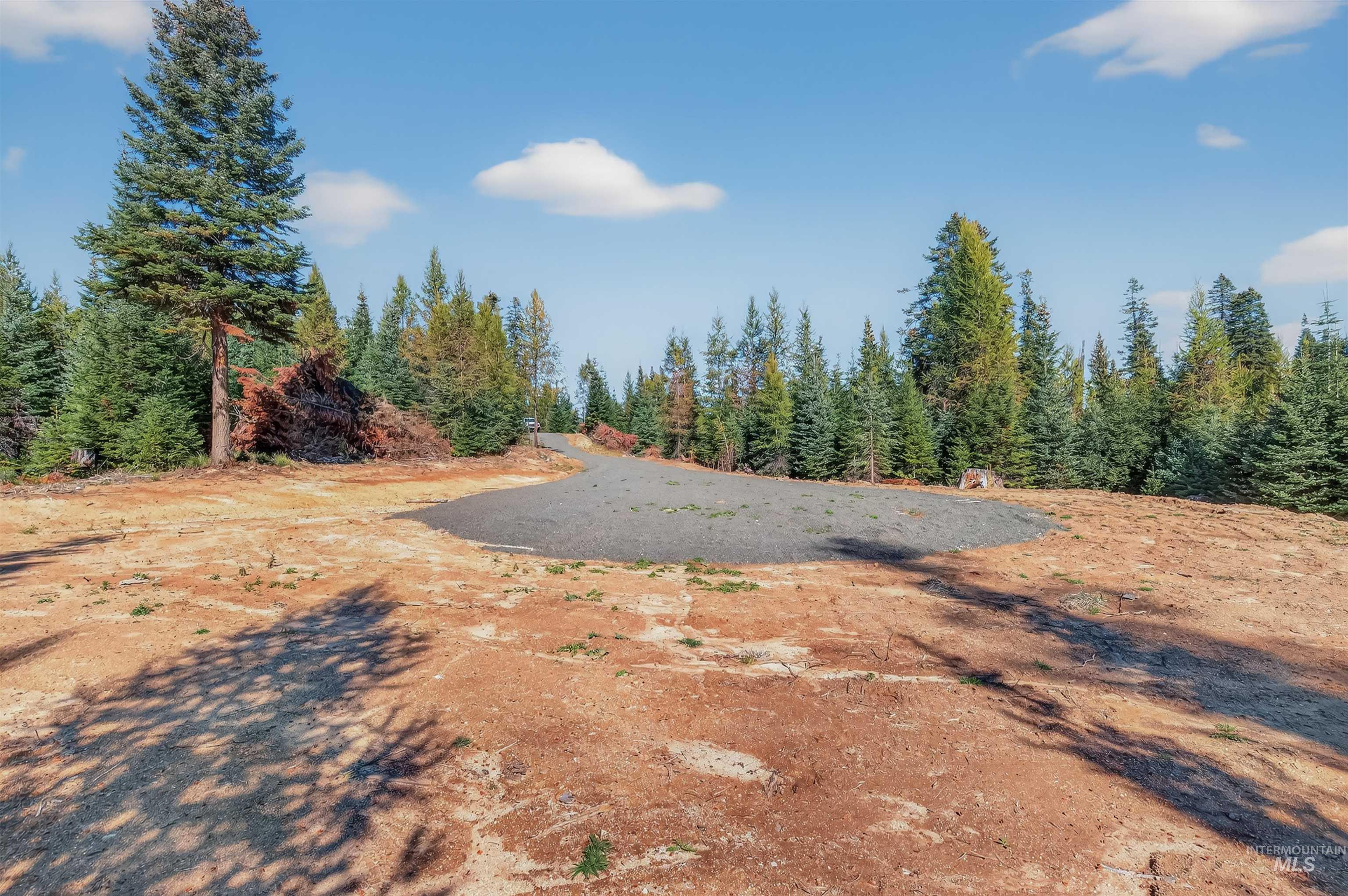 Tbd Parcel 3 Tree Farm Trails Road Property Photo 17