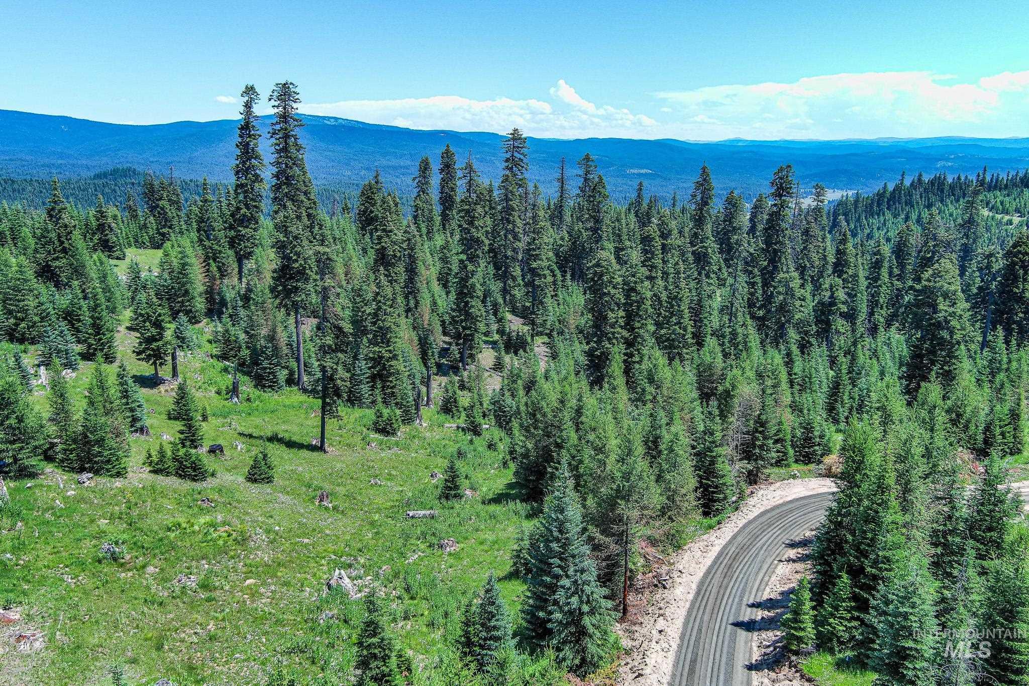 Tbd Parcel 3 Tree Farm Trails Road Property Photo 18