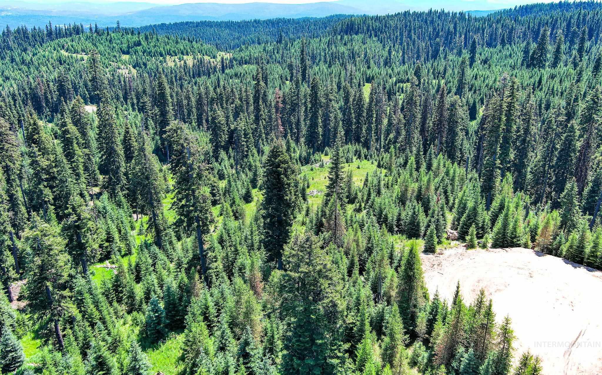 Tbd Parcel 4 Phase 3 Tree Farm Trails Property Photo 4