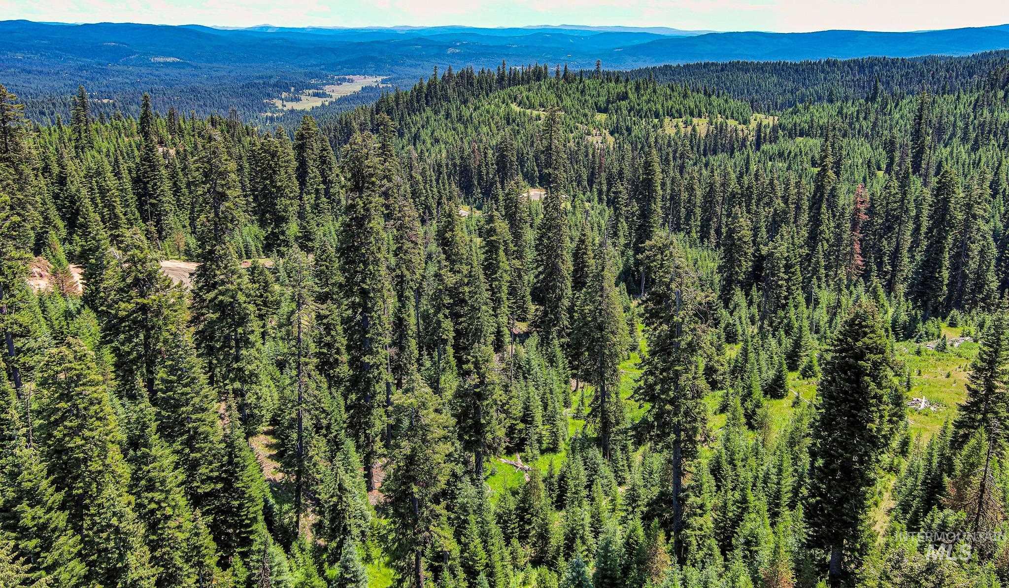 Tbd Parcel 4 Phase 3 Tree Farm Trails Property Photo 5