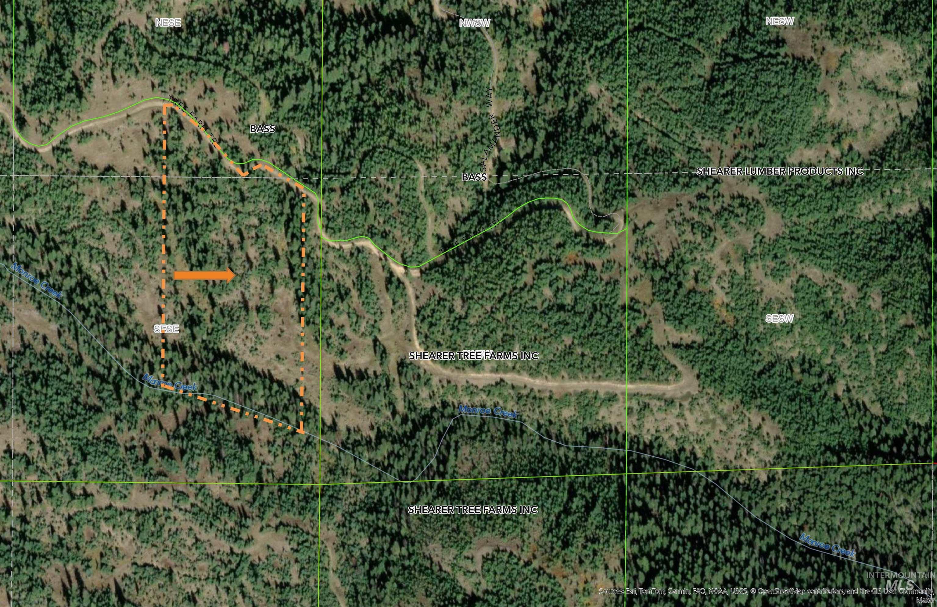 Tbd Parcel 4 Phase 3 Tree Farm Trails Property Photo 7