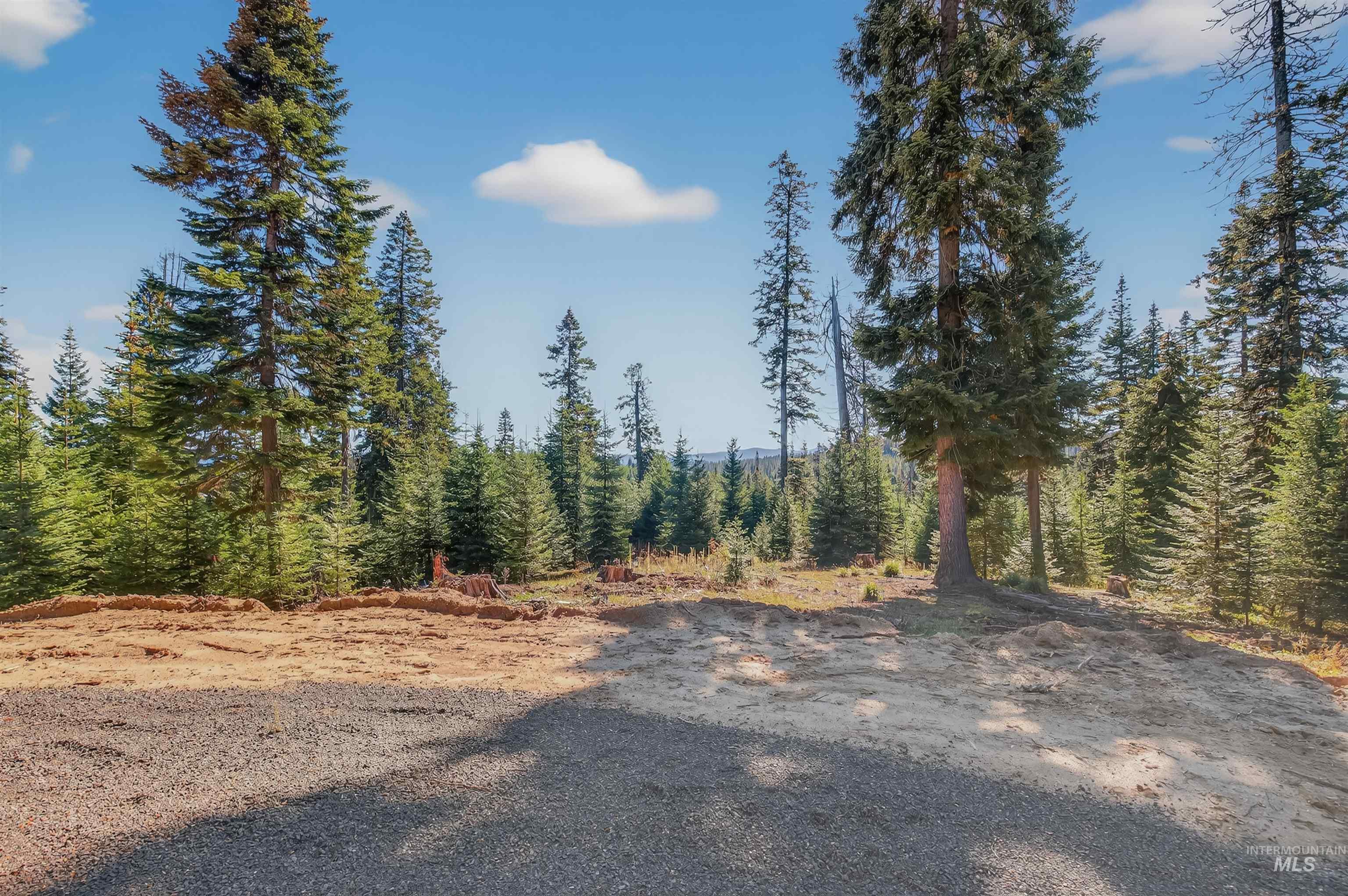 Tbd Parcel 4 Tree Farm Trails Road Property Photo 5