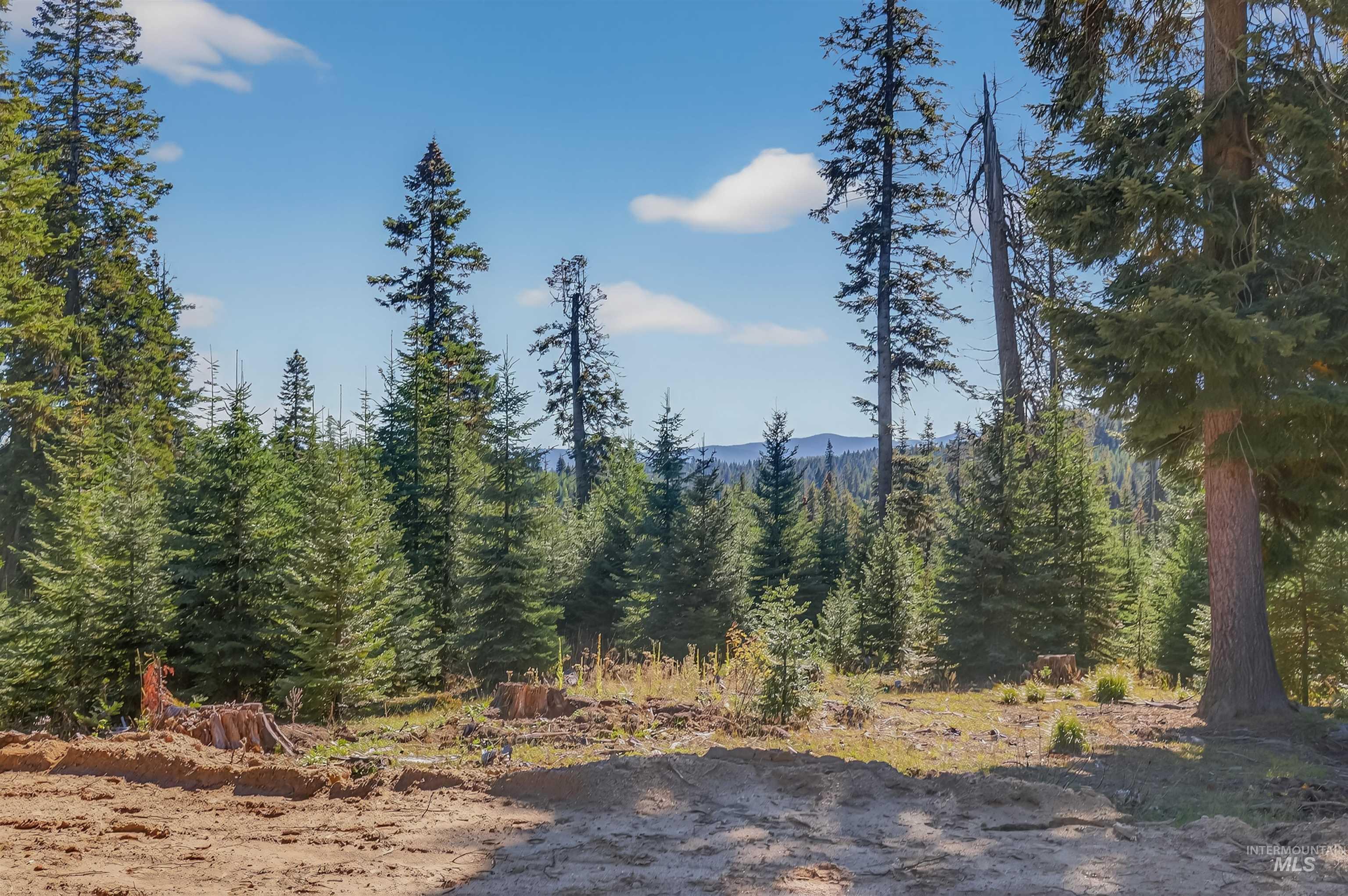 Tbd Parcel 4 Tree Farm Trails Road Property Photo 6