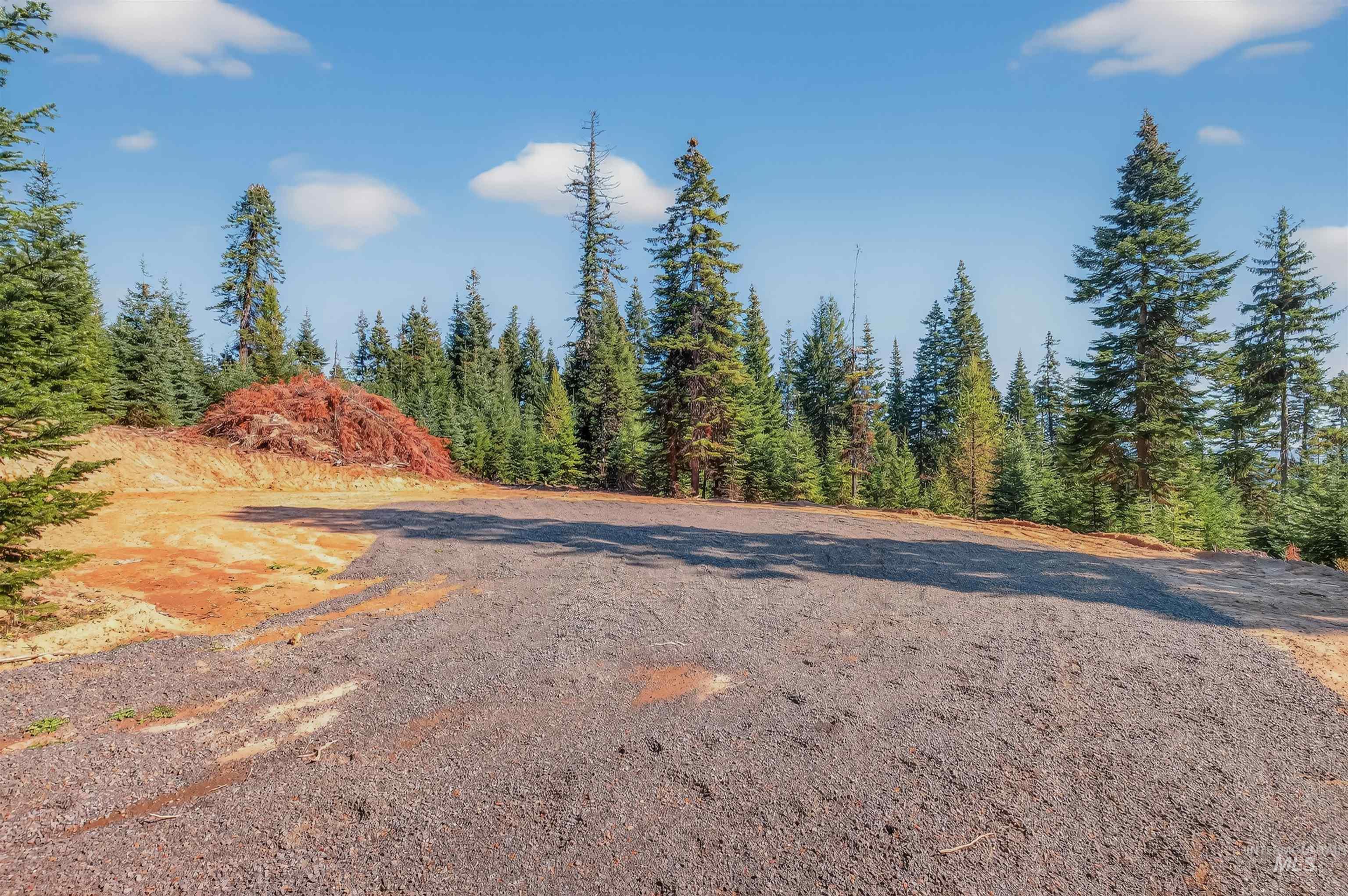 Tbd Parcel 4 Tree Farm Trails Road Property Photo 13