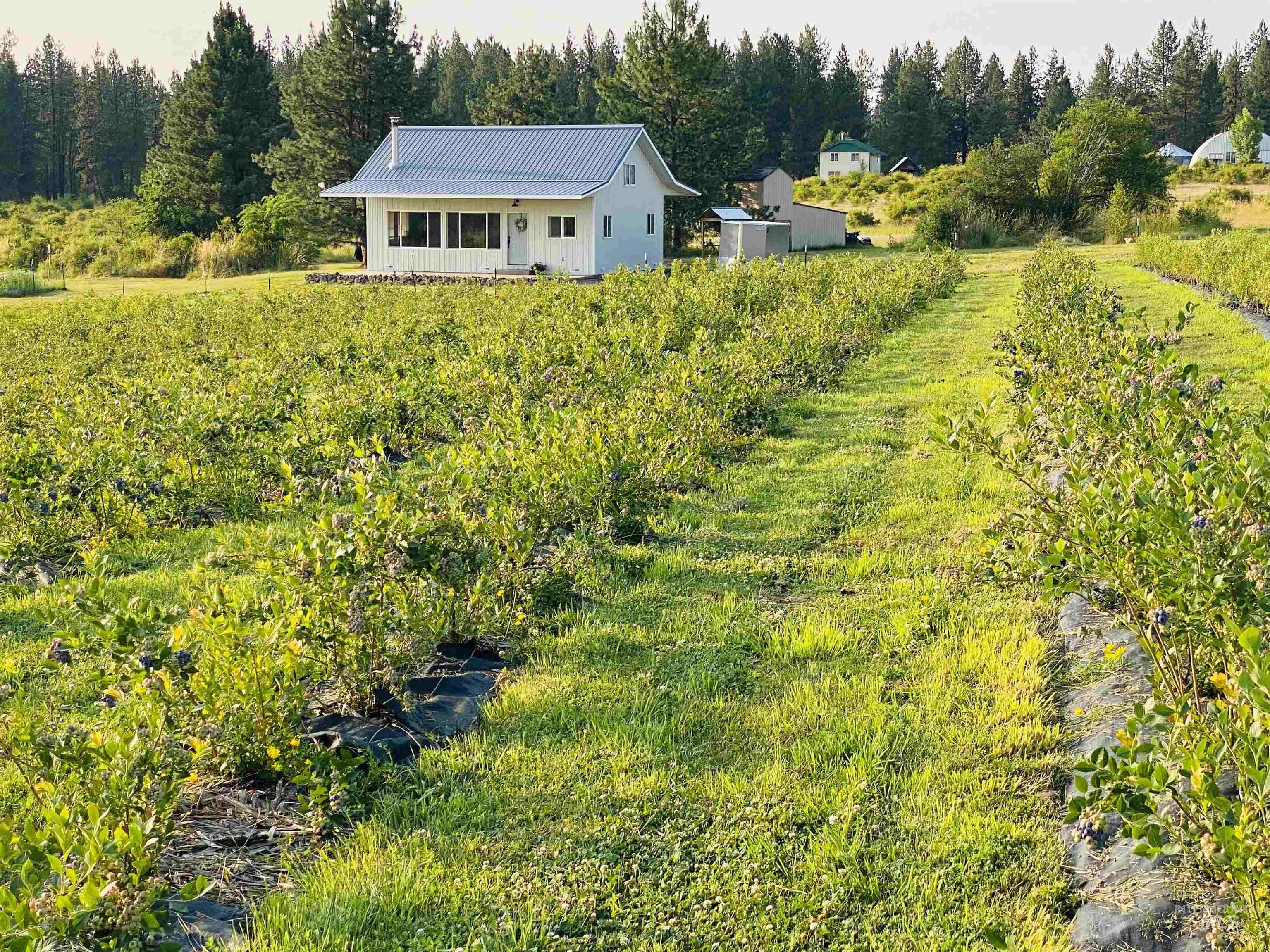 110 Abiding Way Property Photo 1