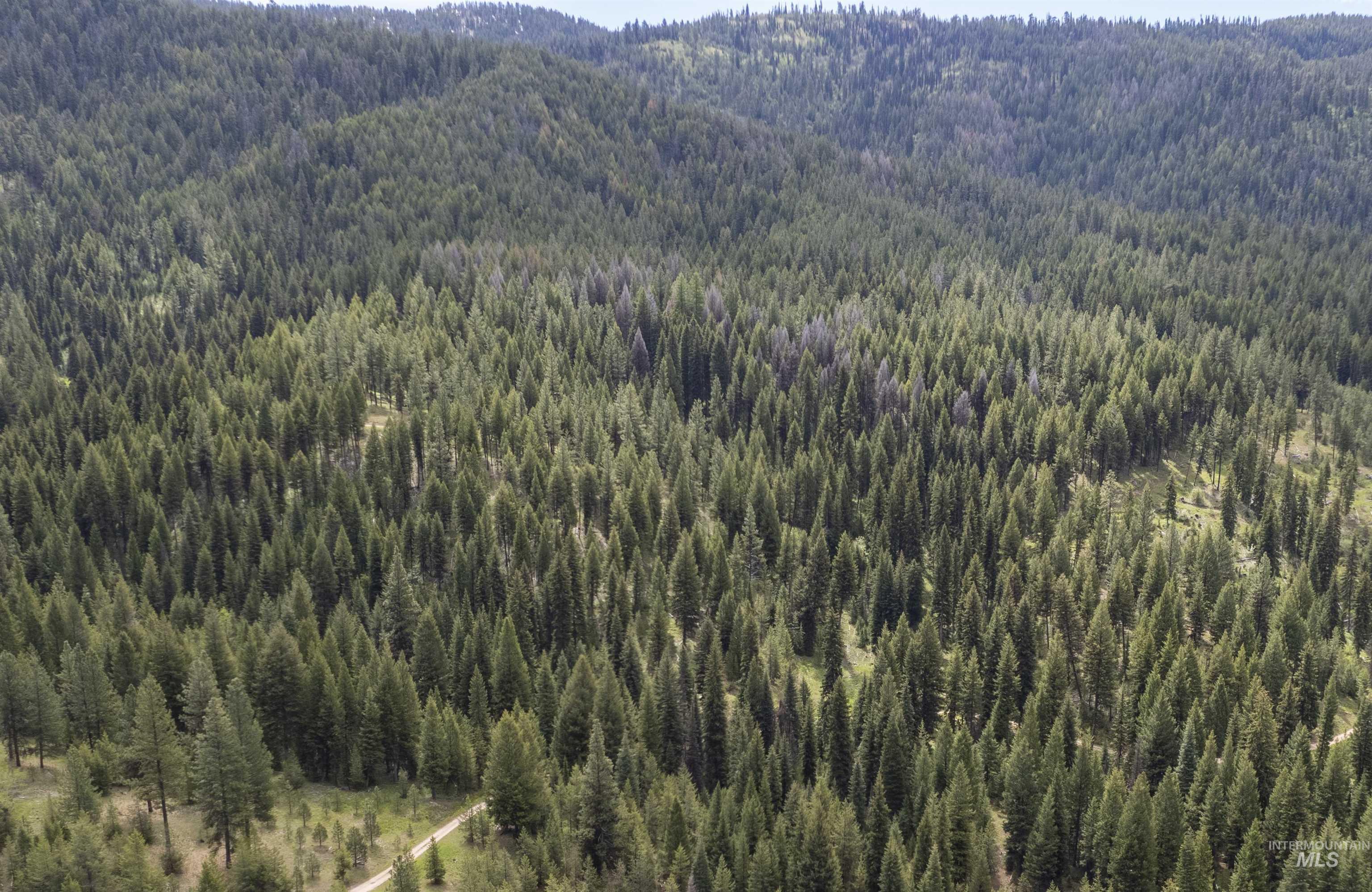 Tbd 38 Clear Creek Road Property Photo 1