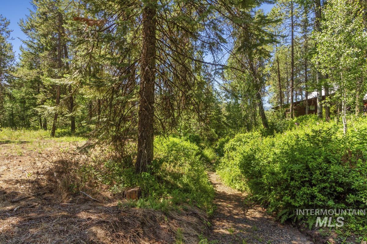 238 Angus Lane Property Photo 7