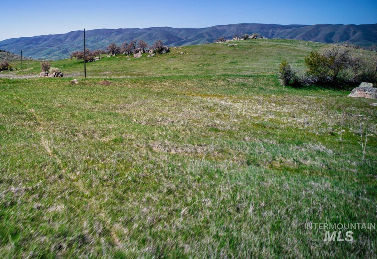 Parcel A&b Timber Flat Rd. Property Photo 9
