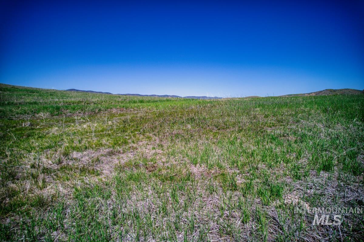 Parcel A&b Timber Flat Rd. Property Photo 12