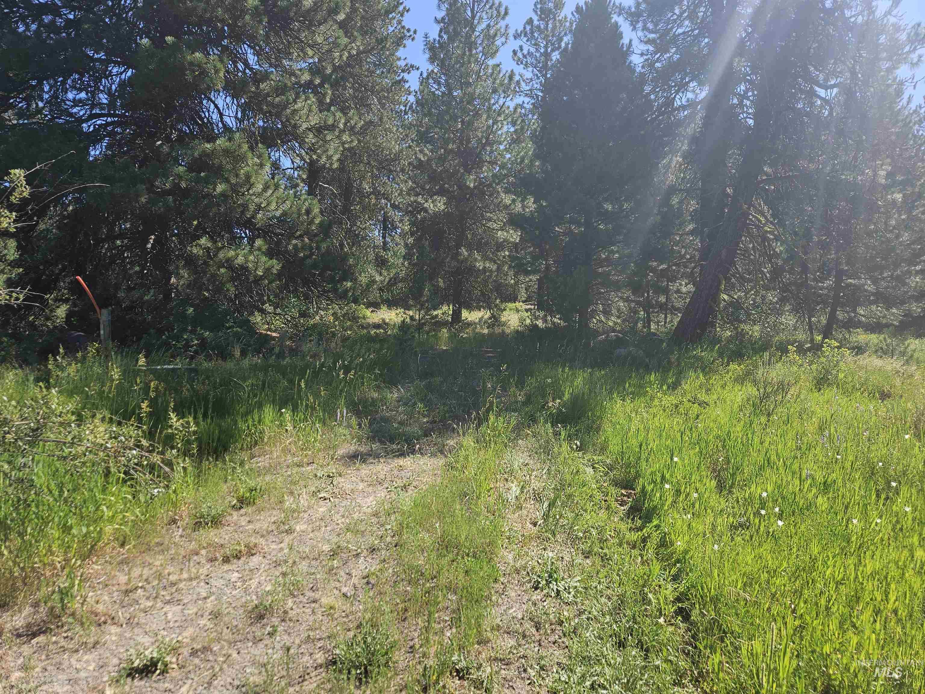 110 Lantern Way Property Photo 9