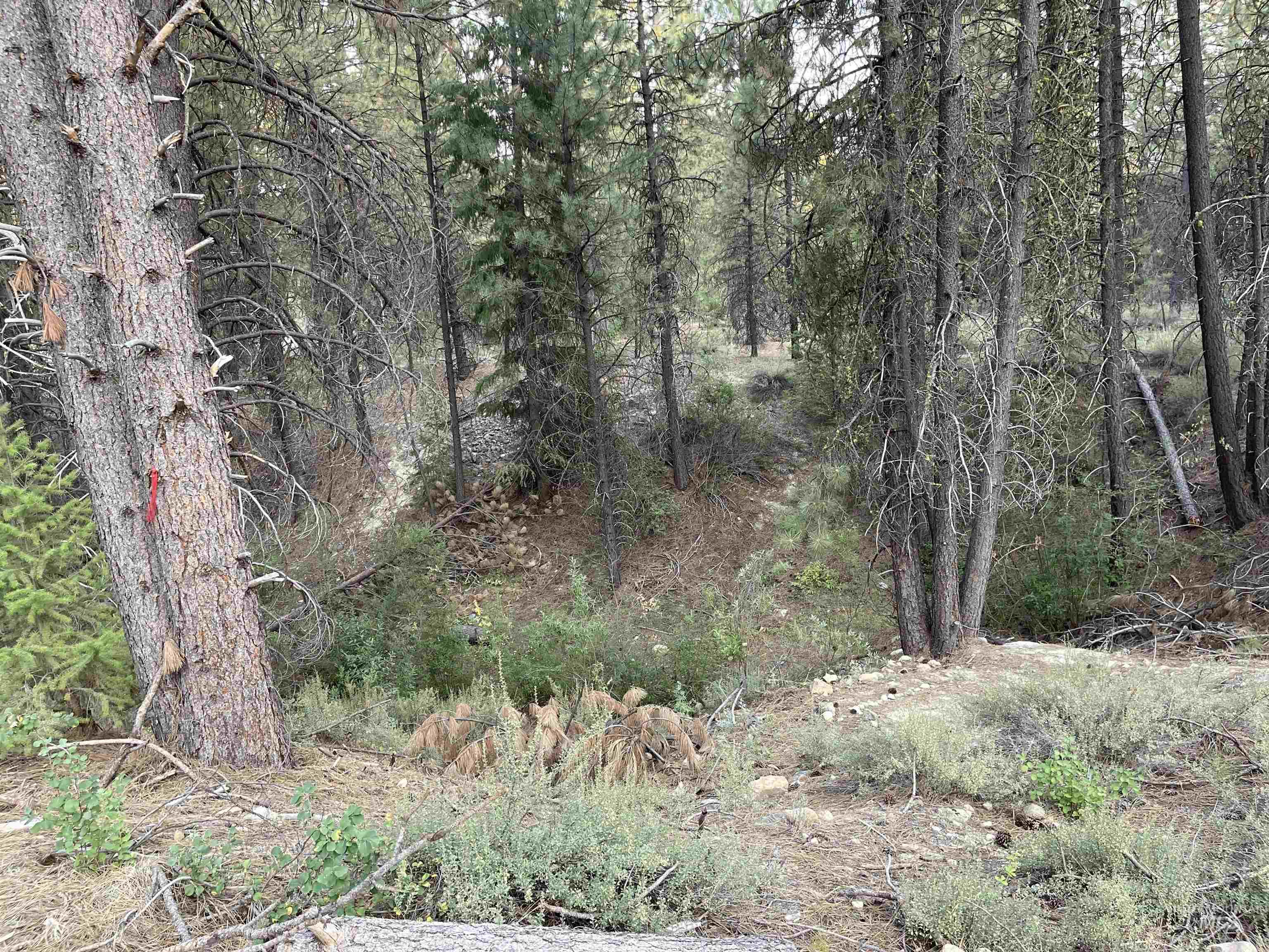 12 Woods Ln Property Photo 15