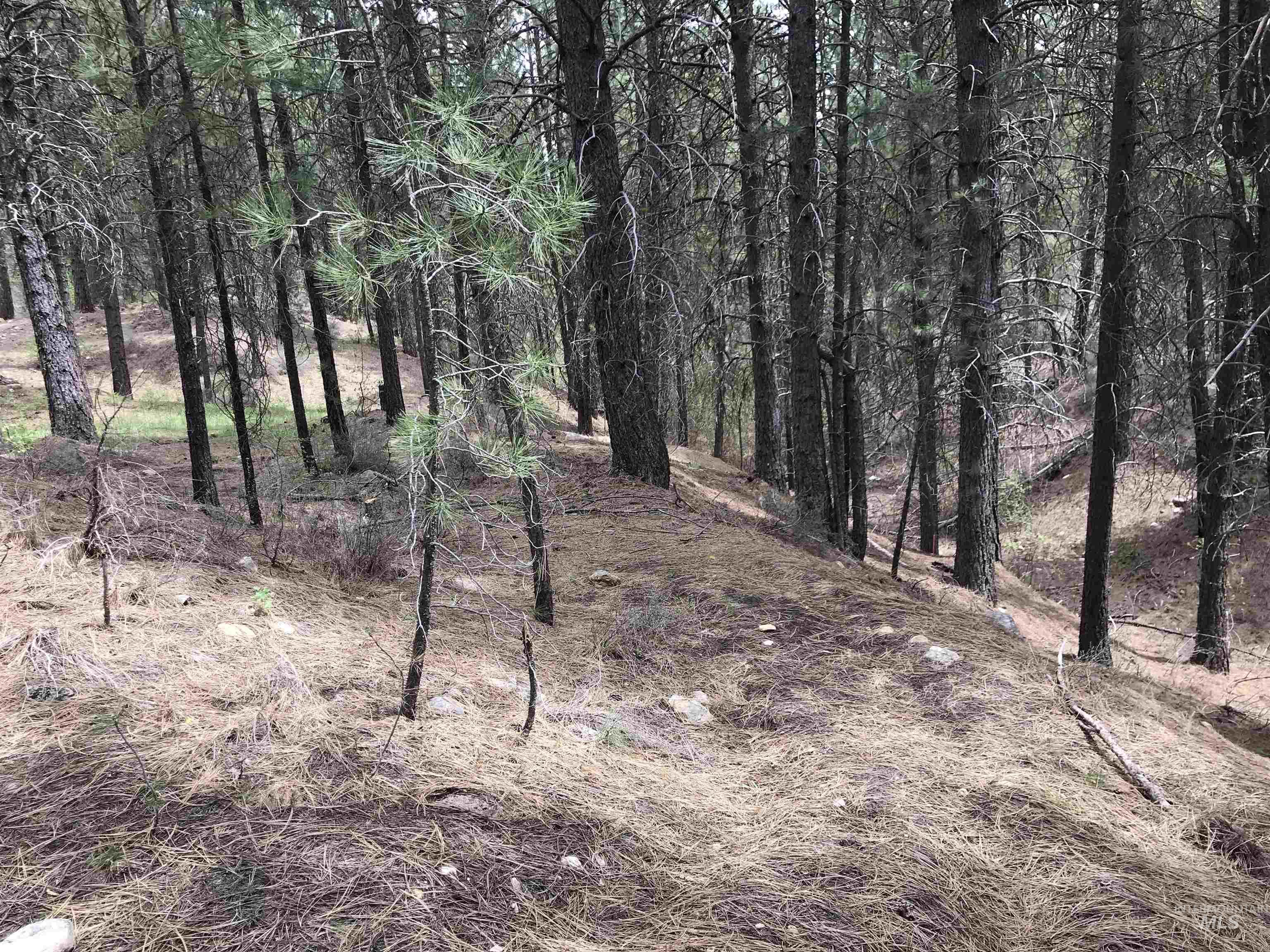 12 Woods Ln Property Photo 21