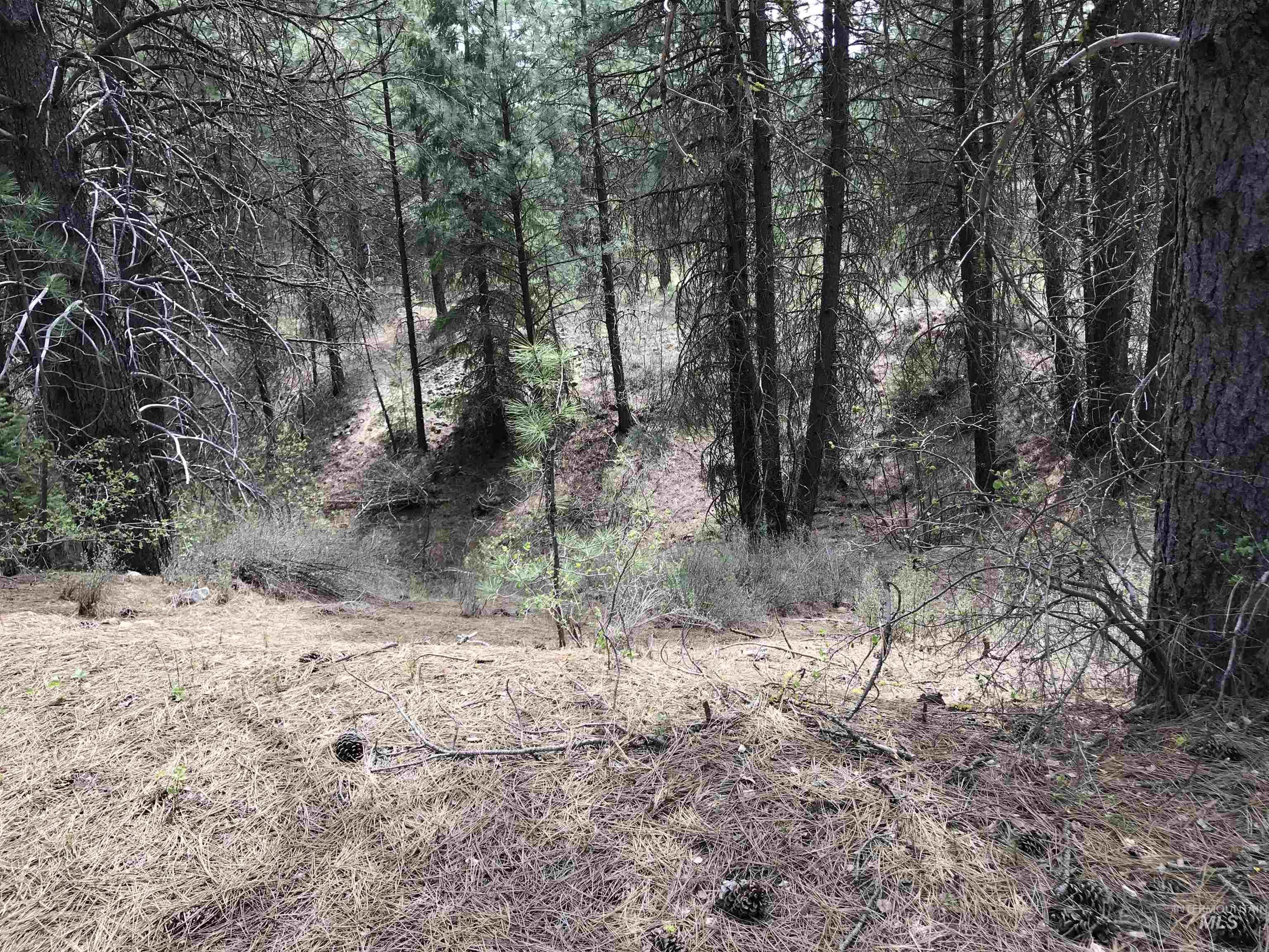 12 Woods Ln Property Photo 24