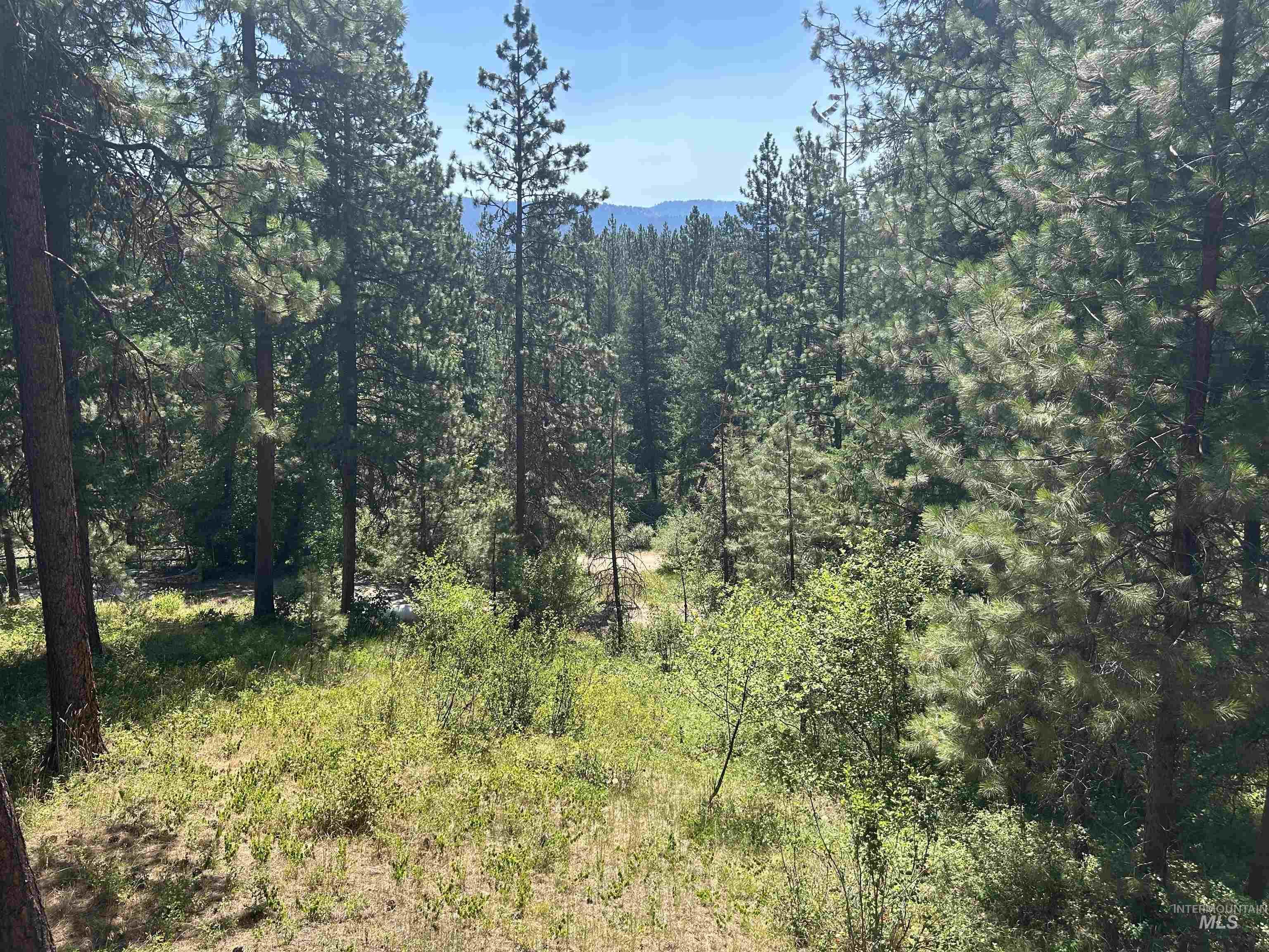 36 Aspen Dr Property Photo 25