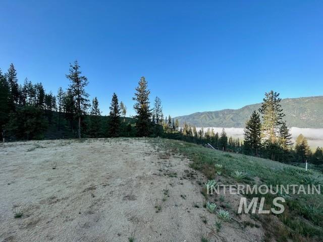 Tbd Lot C Coulter Lane Property Photo 6