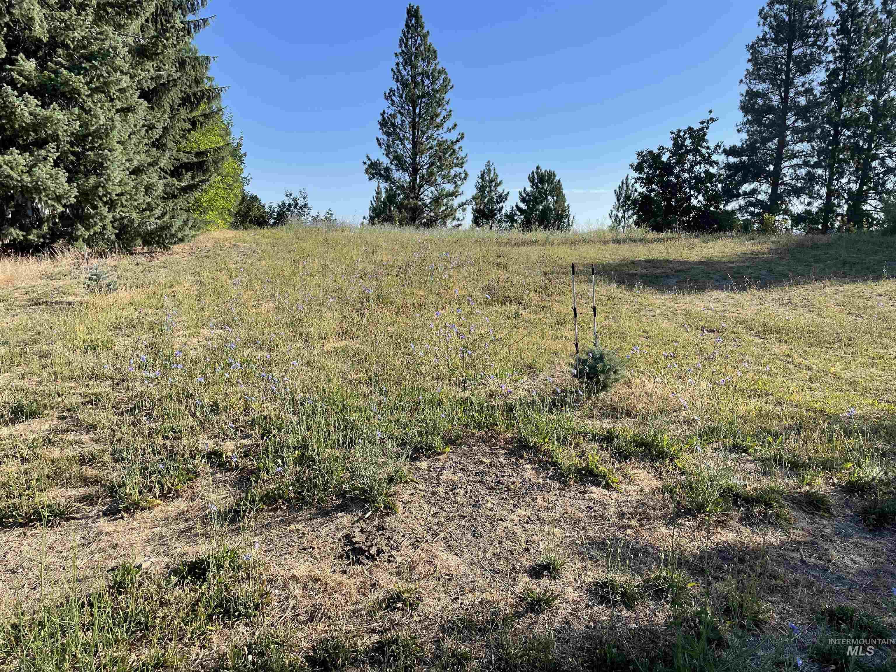 Nka Ponderosa Drive Lot 2 Property Photo 2