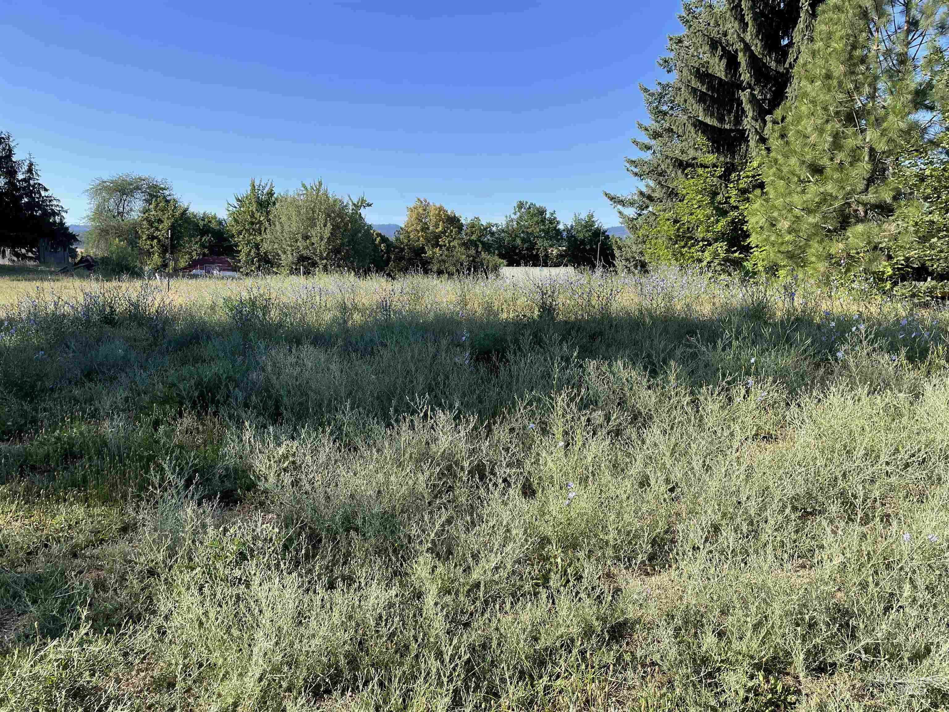 Nka Ponderosa Drive Lot 2 Property Photo 4